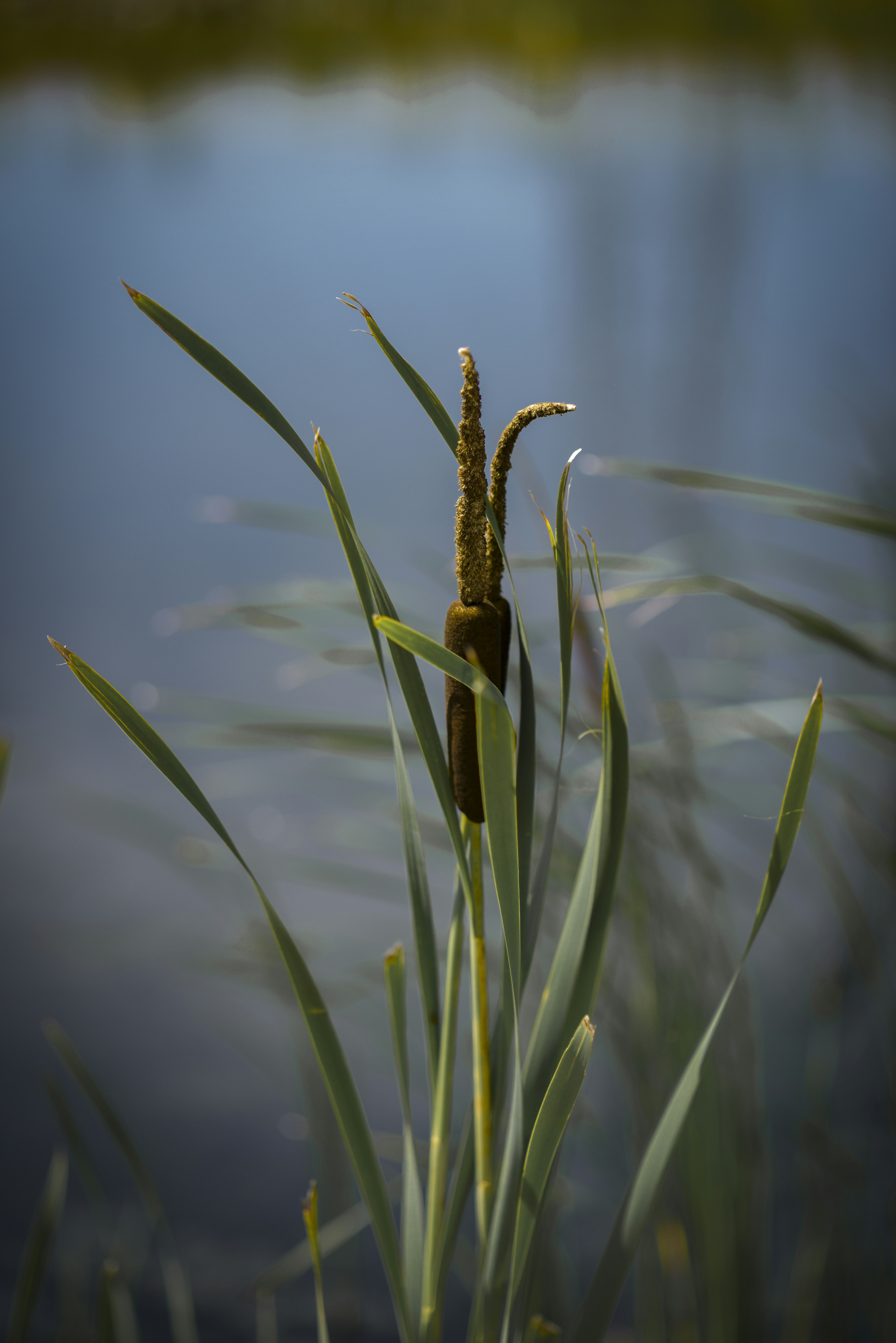 Photo by malwinanogaj