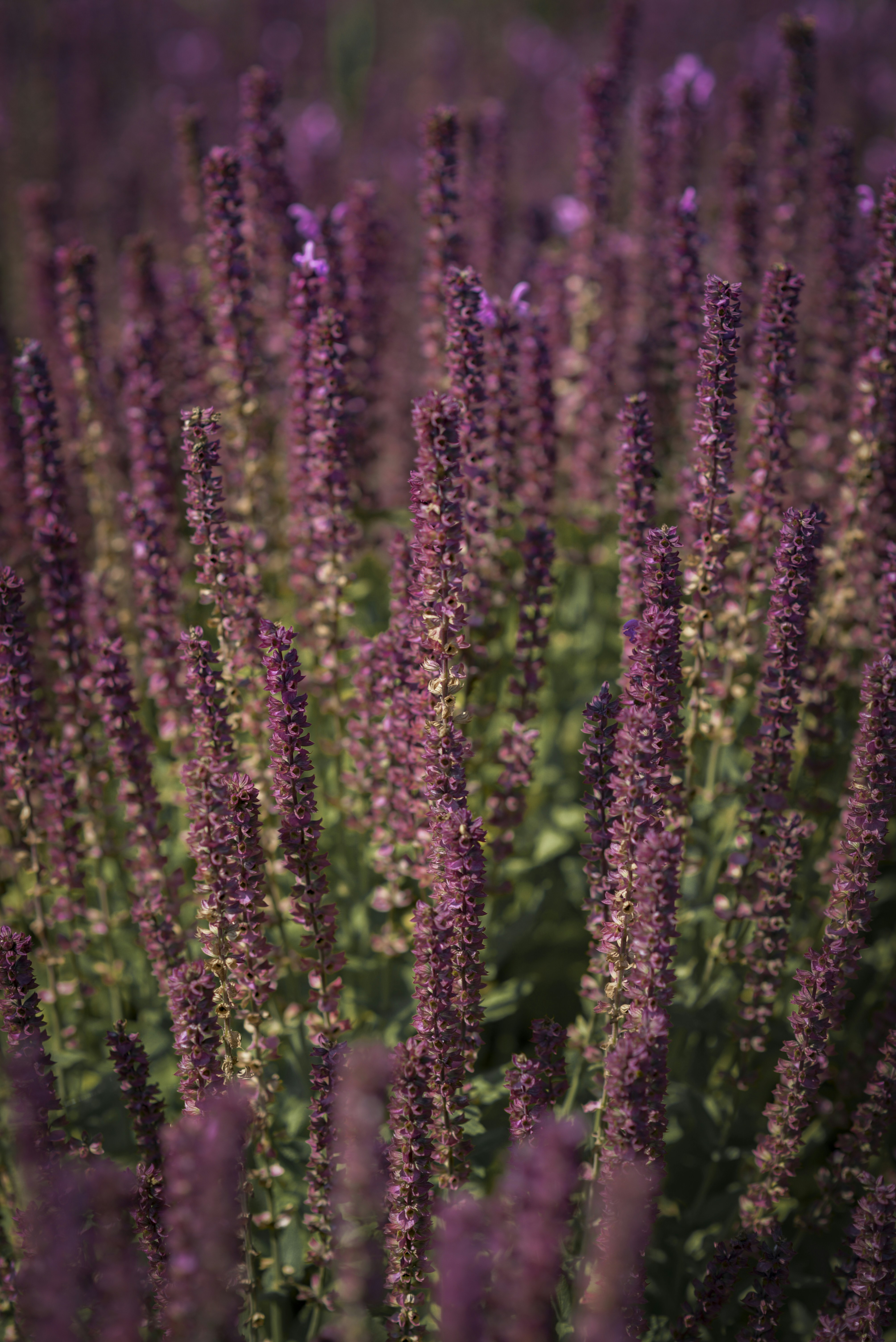 Photo by malwinanogaj