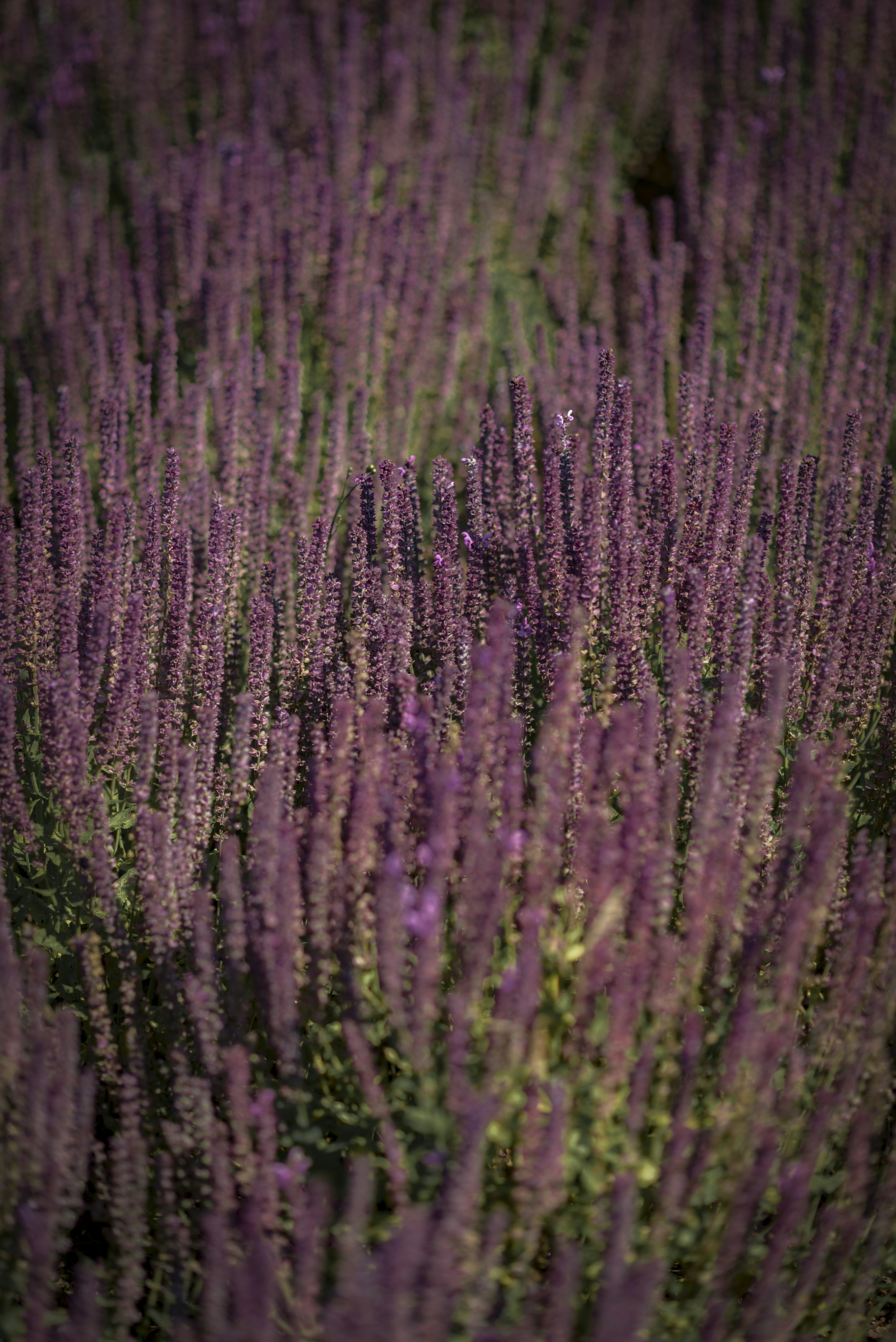 Photo by malwinanogaj