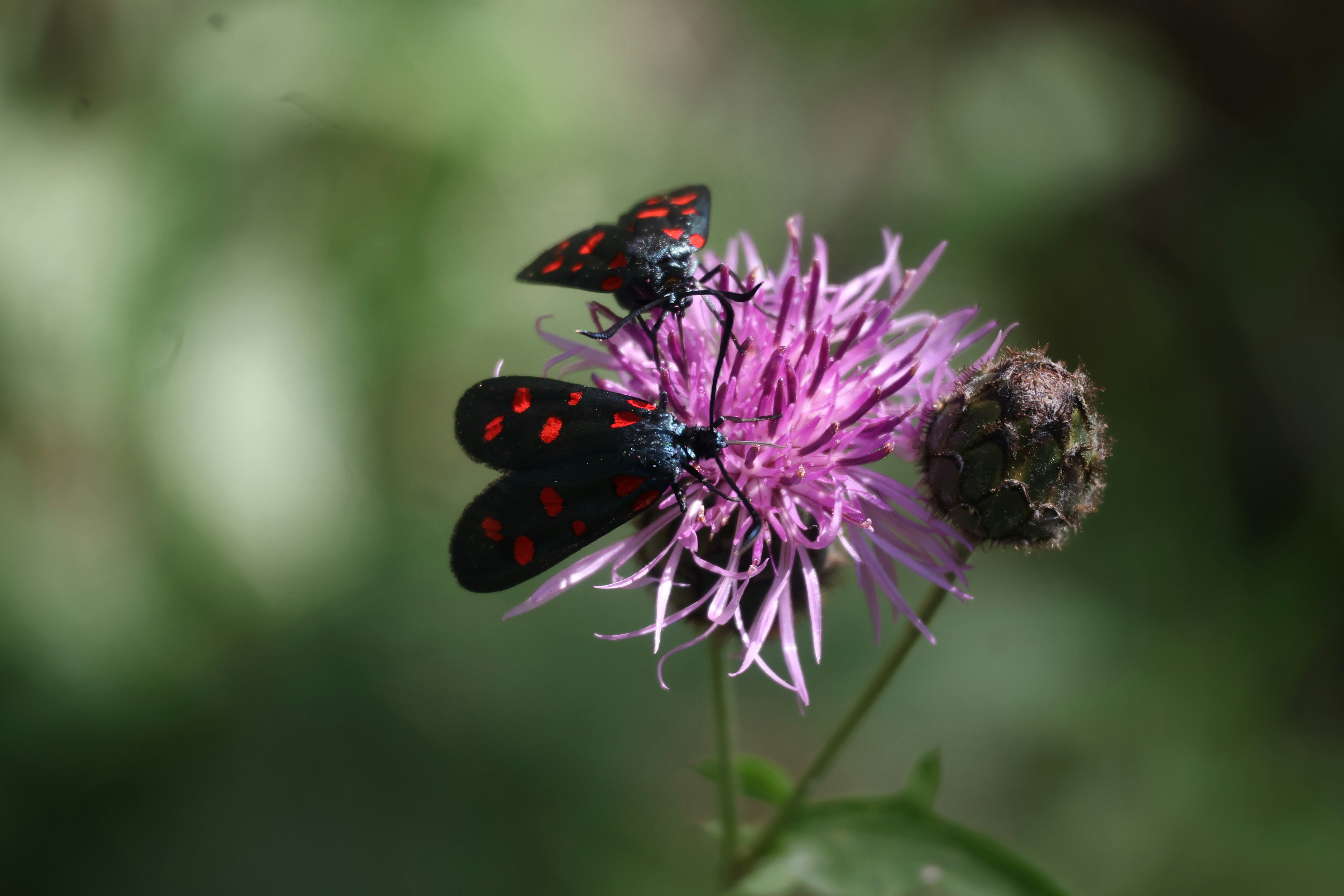 Photo by axel_new_life94