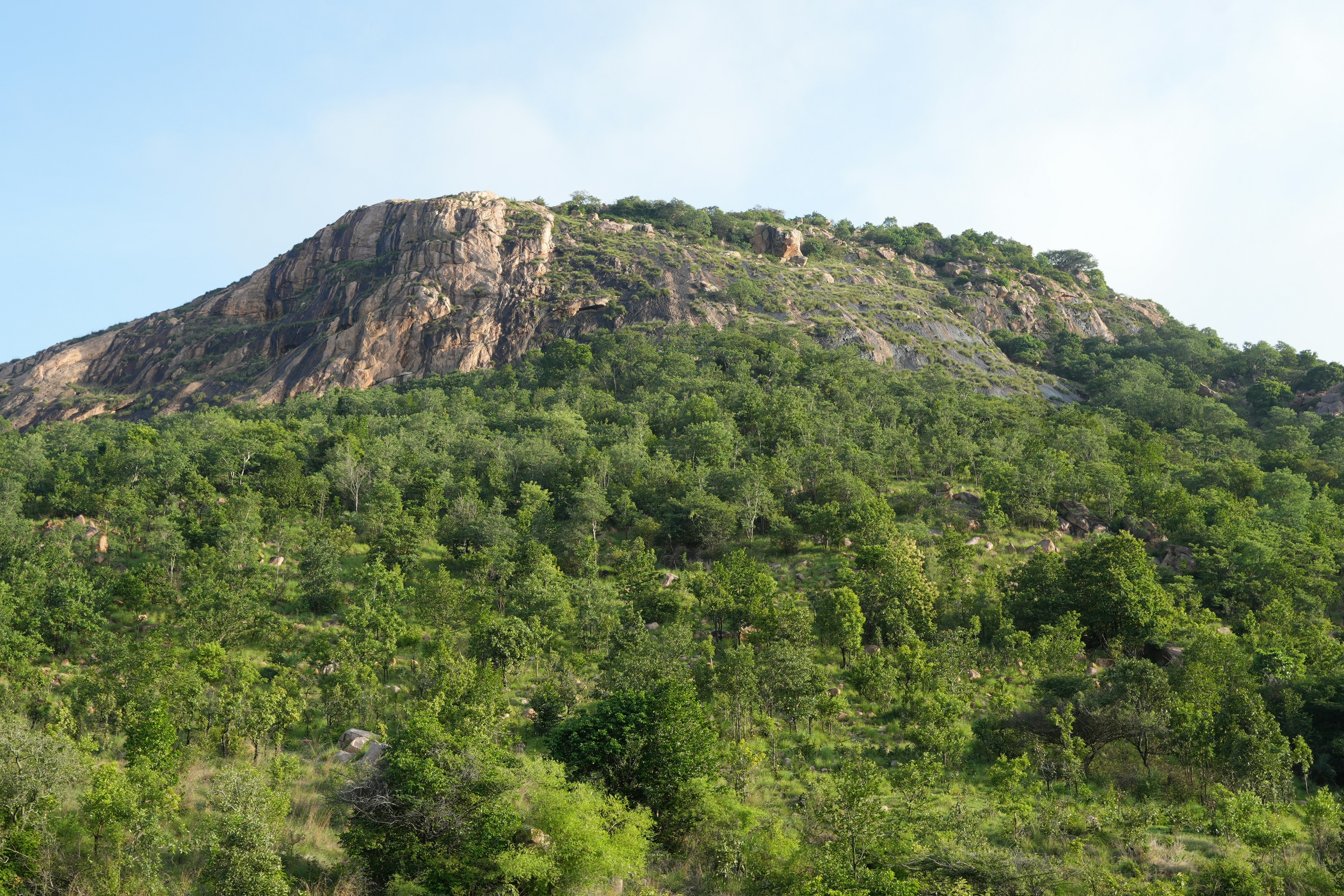 Photo by prakashraophotography