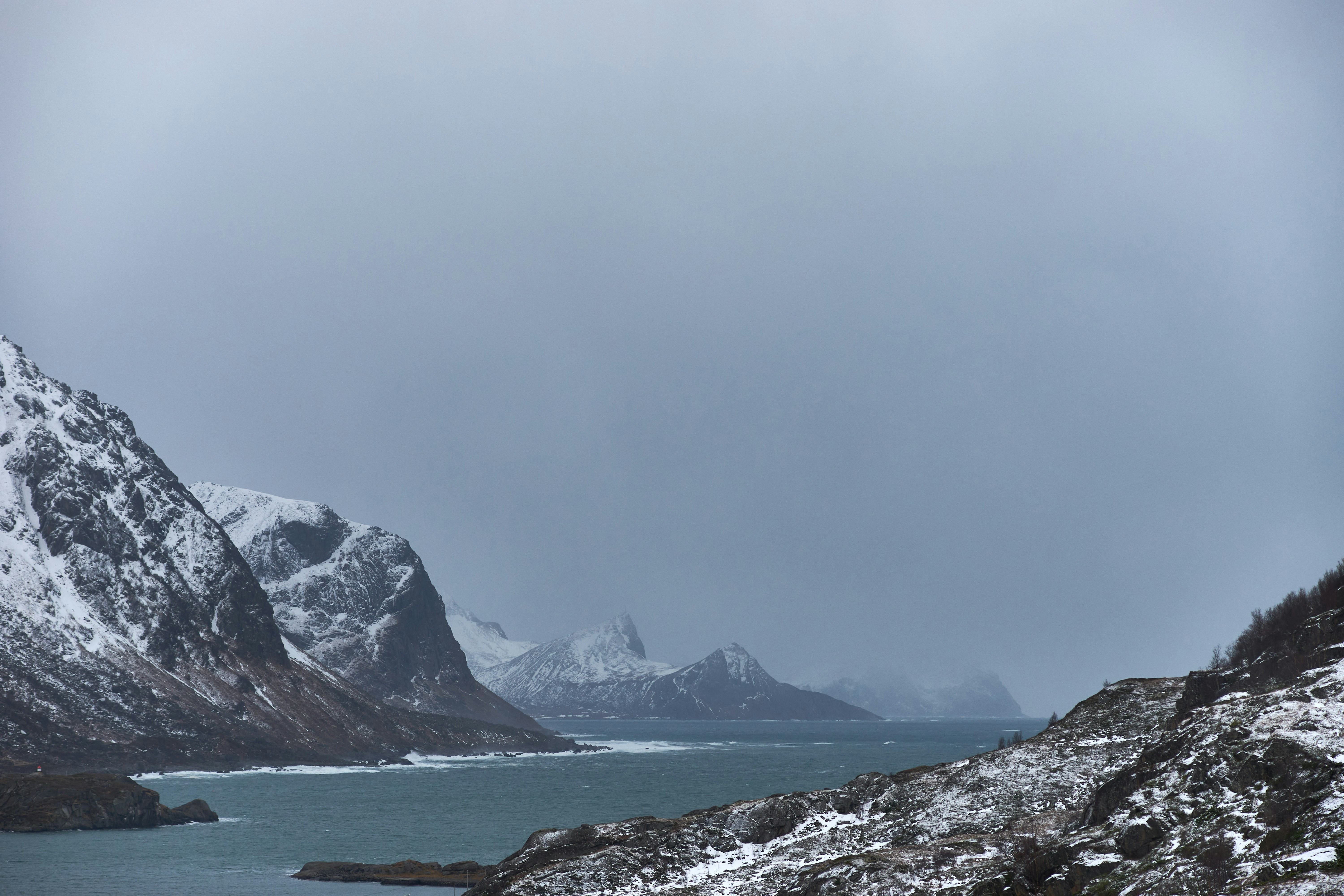 Photo by wolfgang_hasselmann