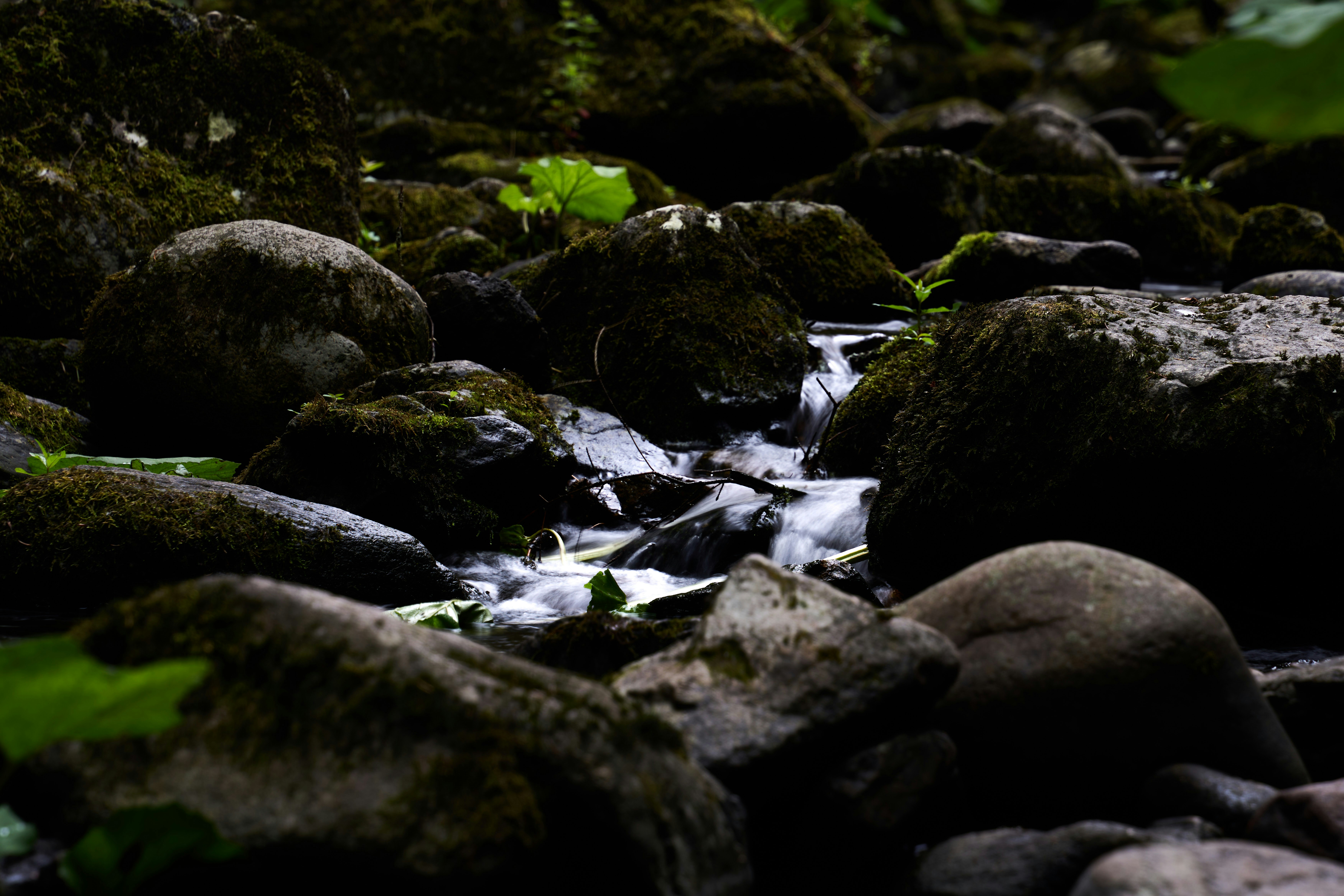 Photo by wolfgang_hasselmann