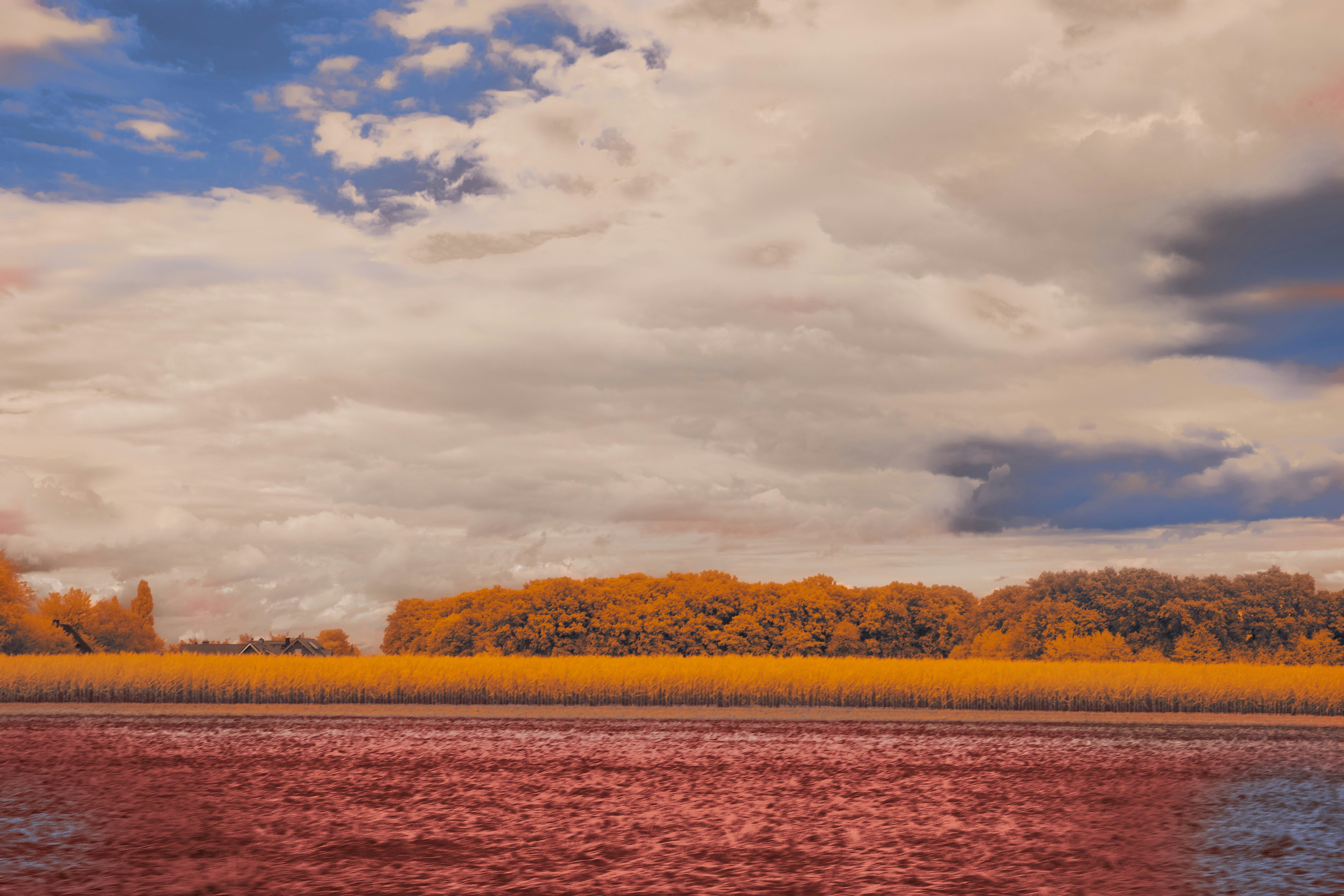 Photo by wolfgang_hasselmann