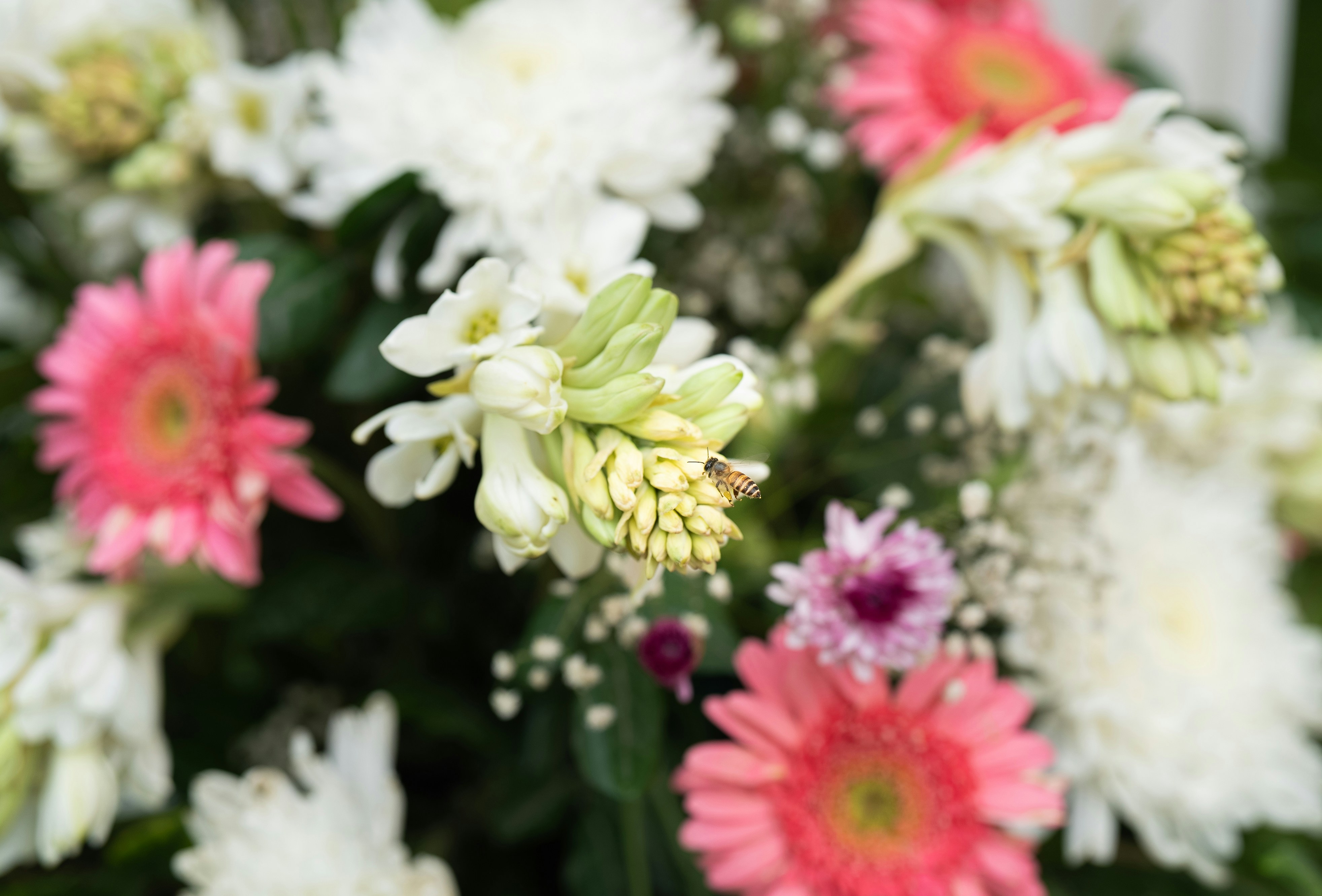 Photo by viditgoswami