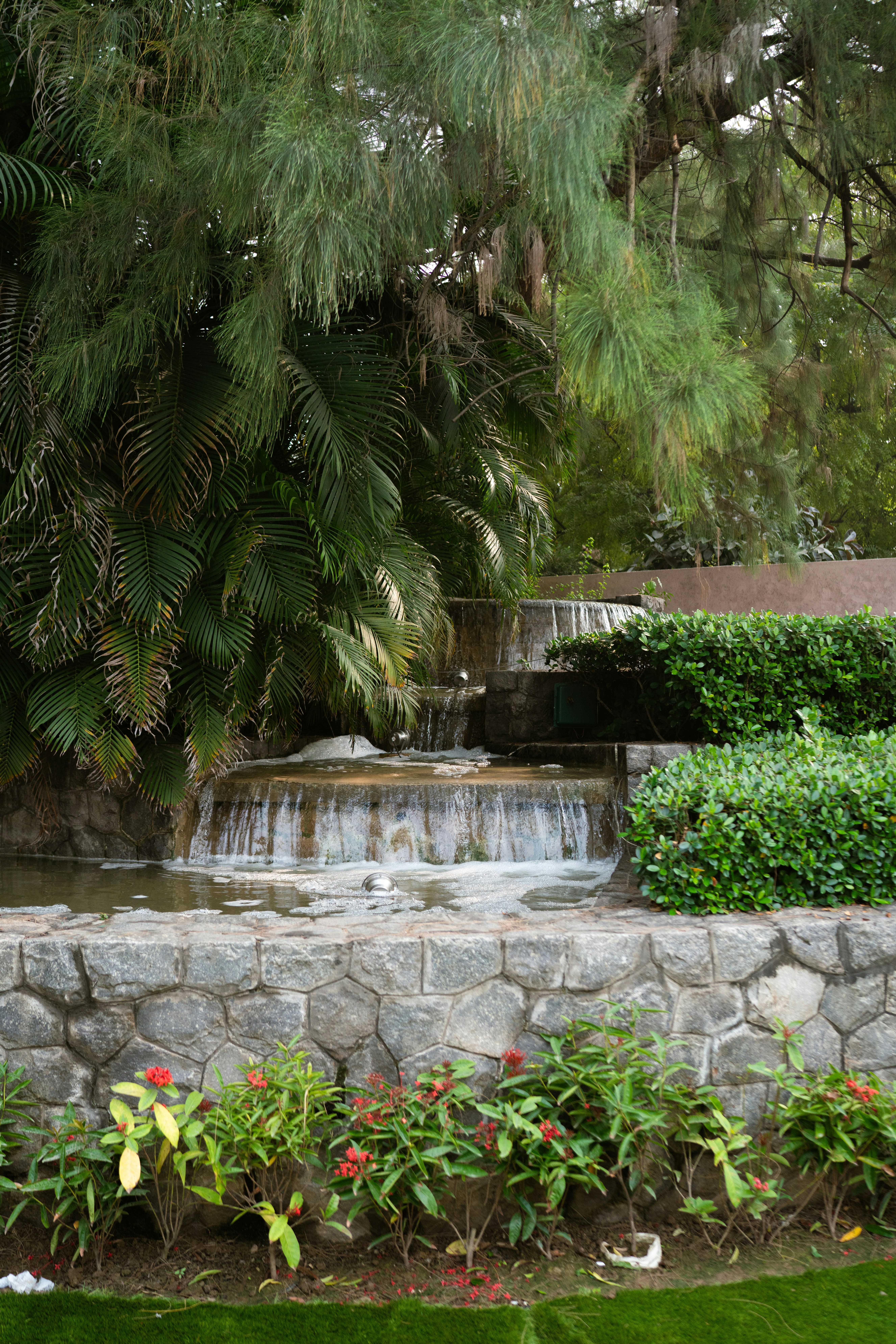 Photo by viditgoswami