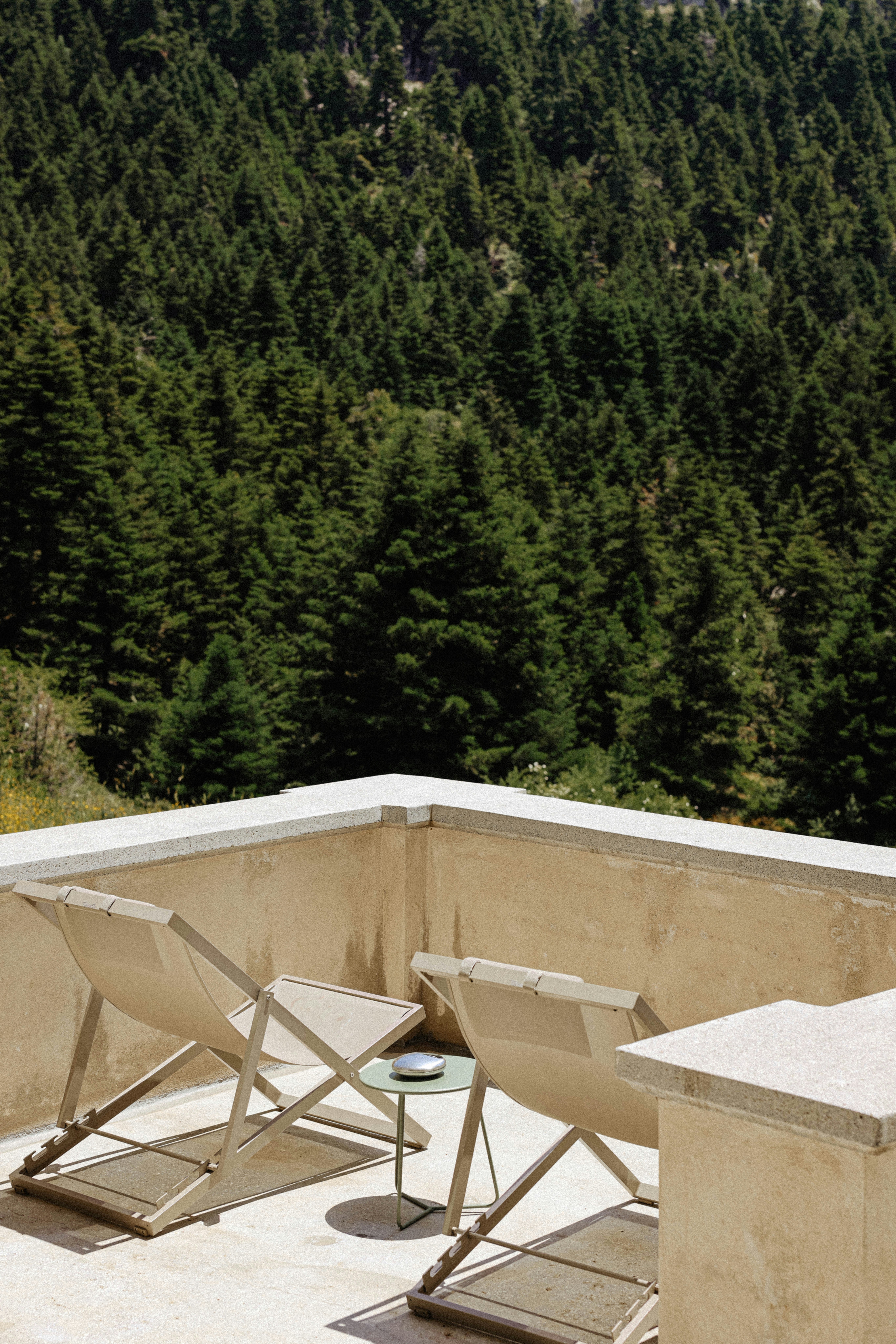 Relaxing deck chairs overlook a lush forest.