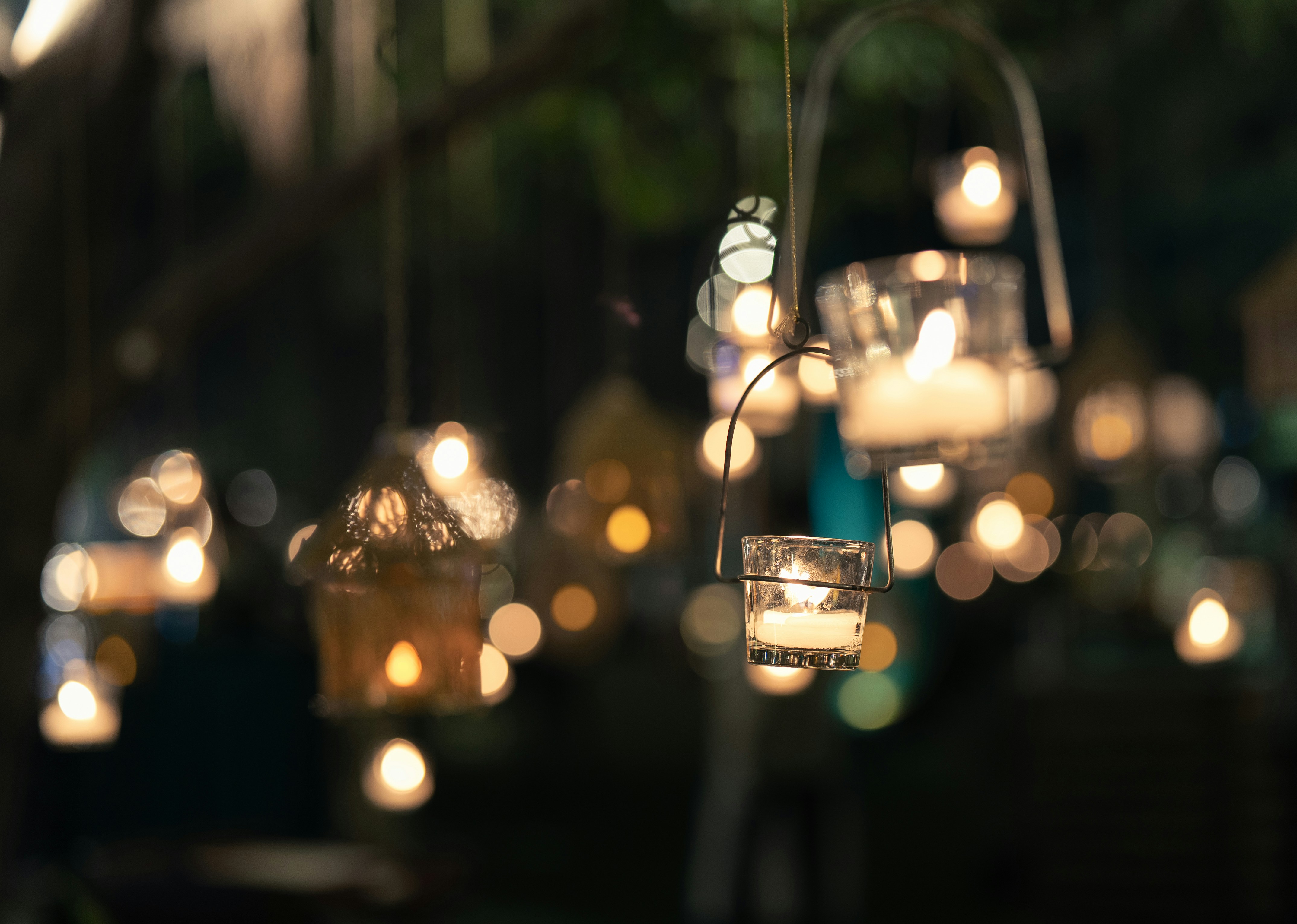 Photo by viditgoswami