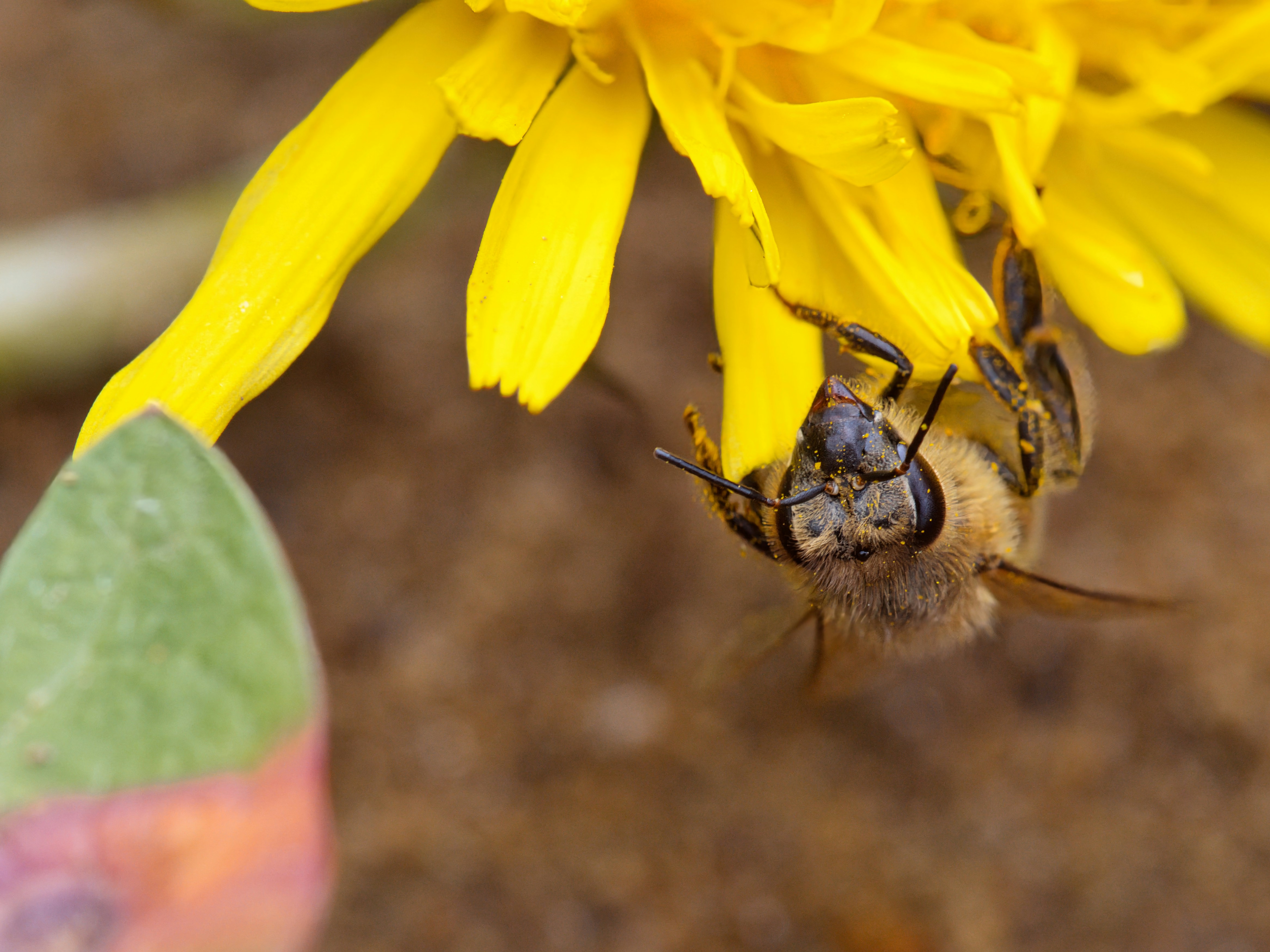 Photo by theskytales