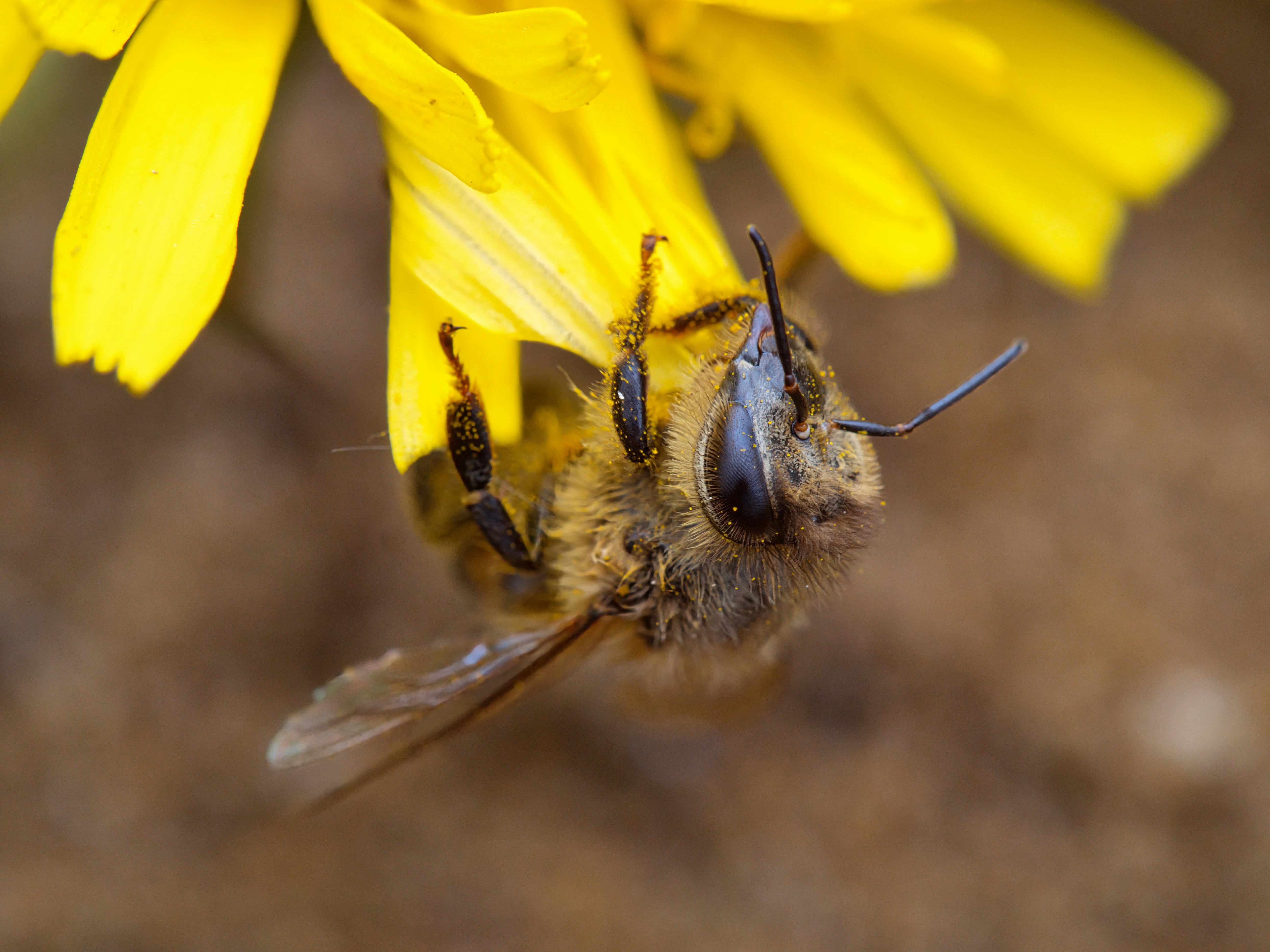 Photo by theskytales