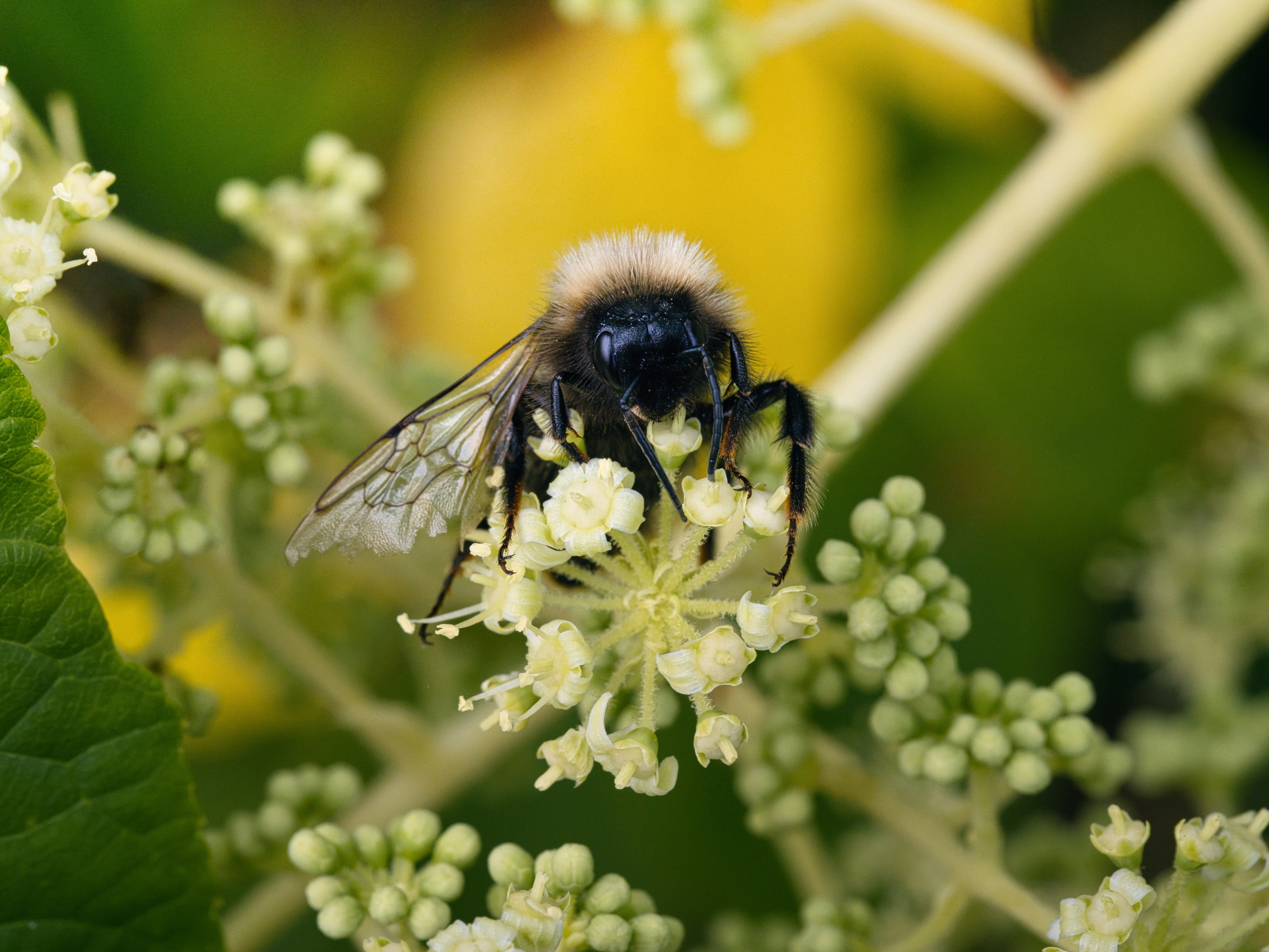 Photo by theskytales