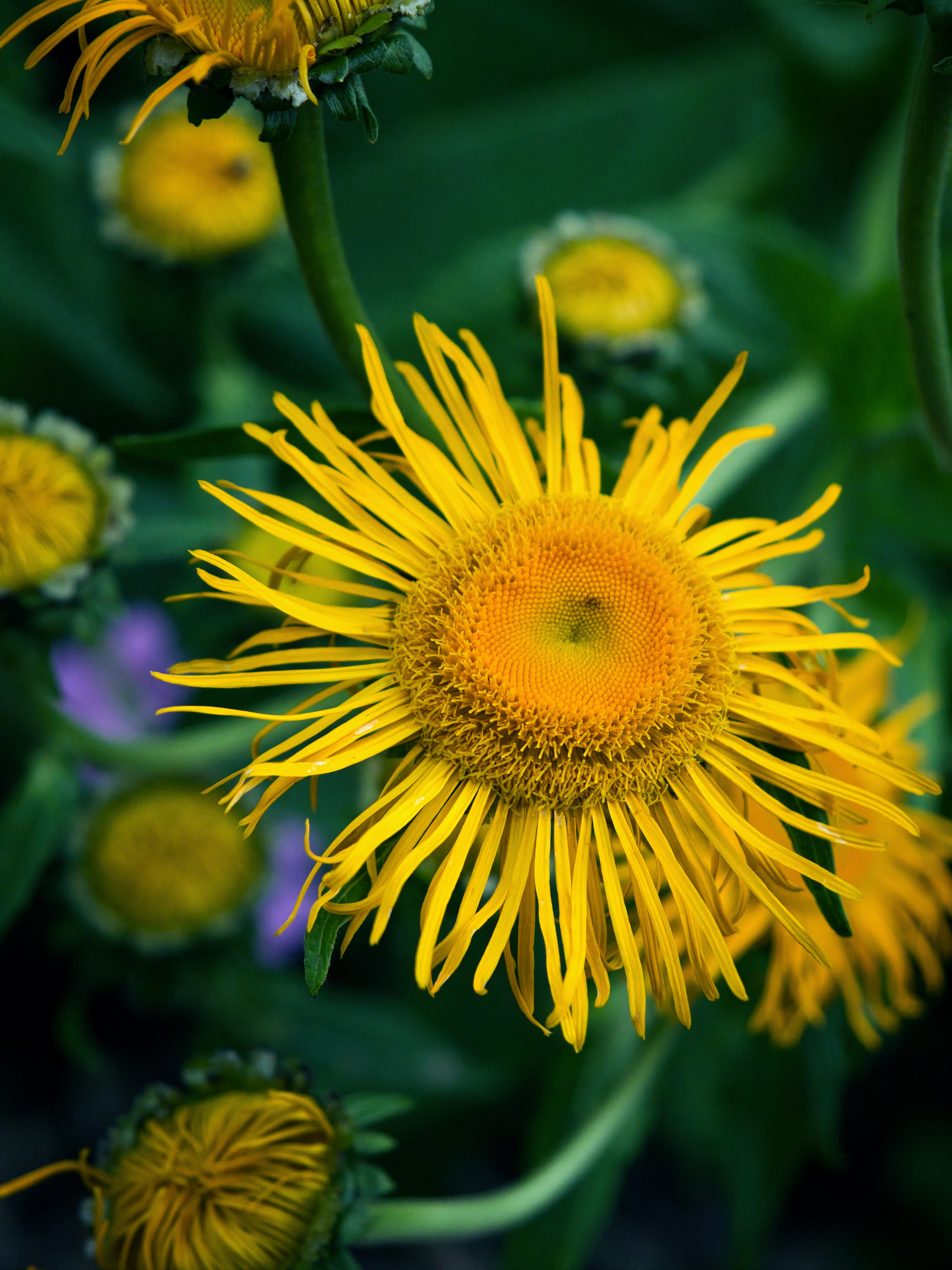 Photo by theskytales