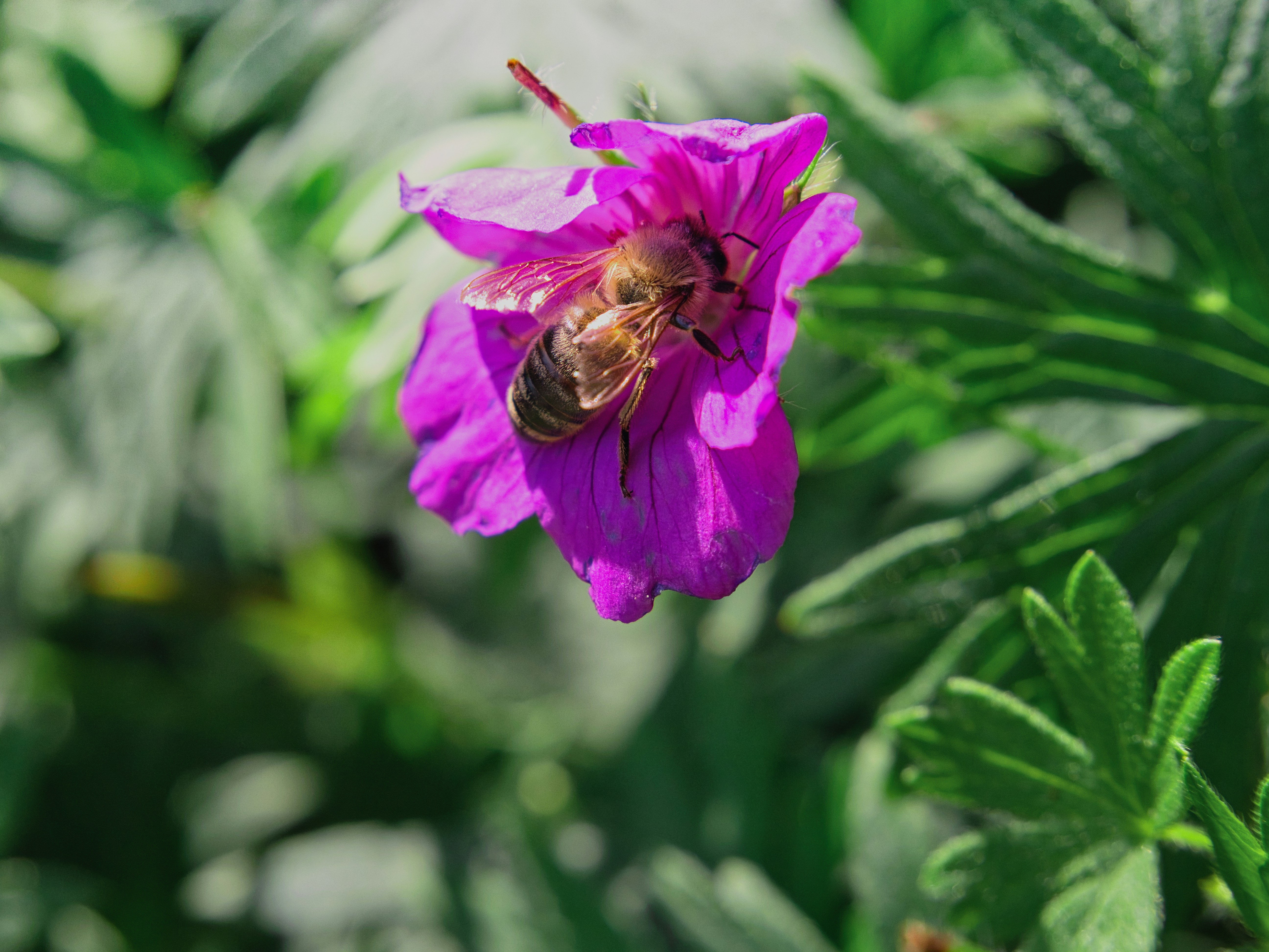 Photo by theskytales