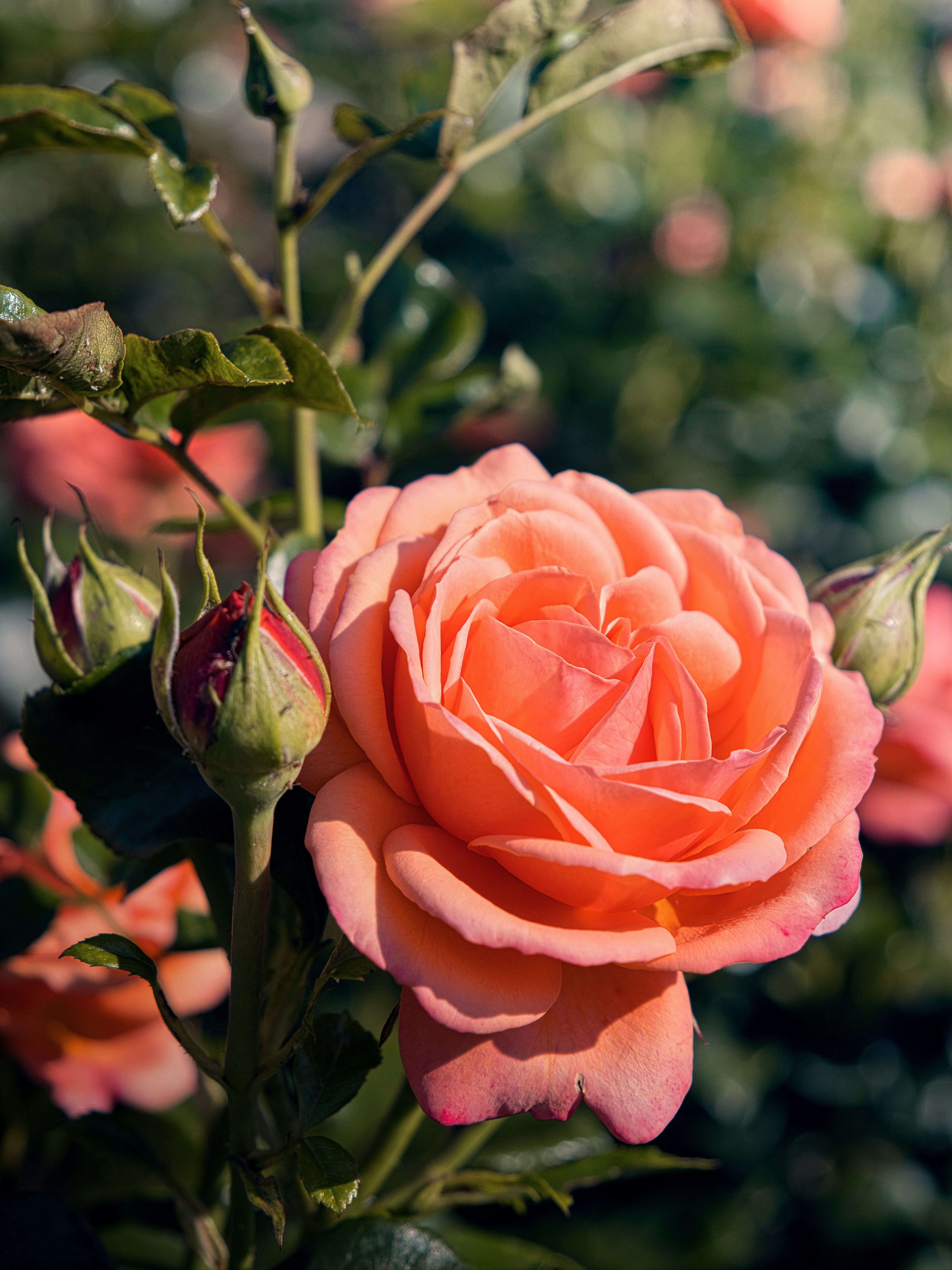 Photo by theskytales