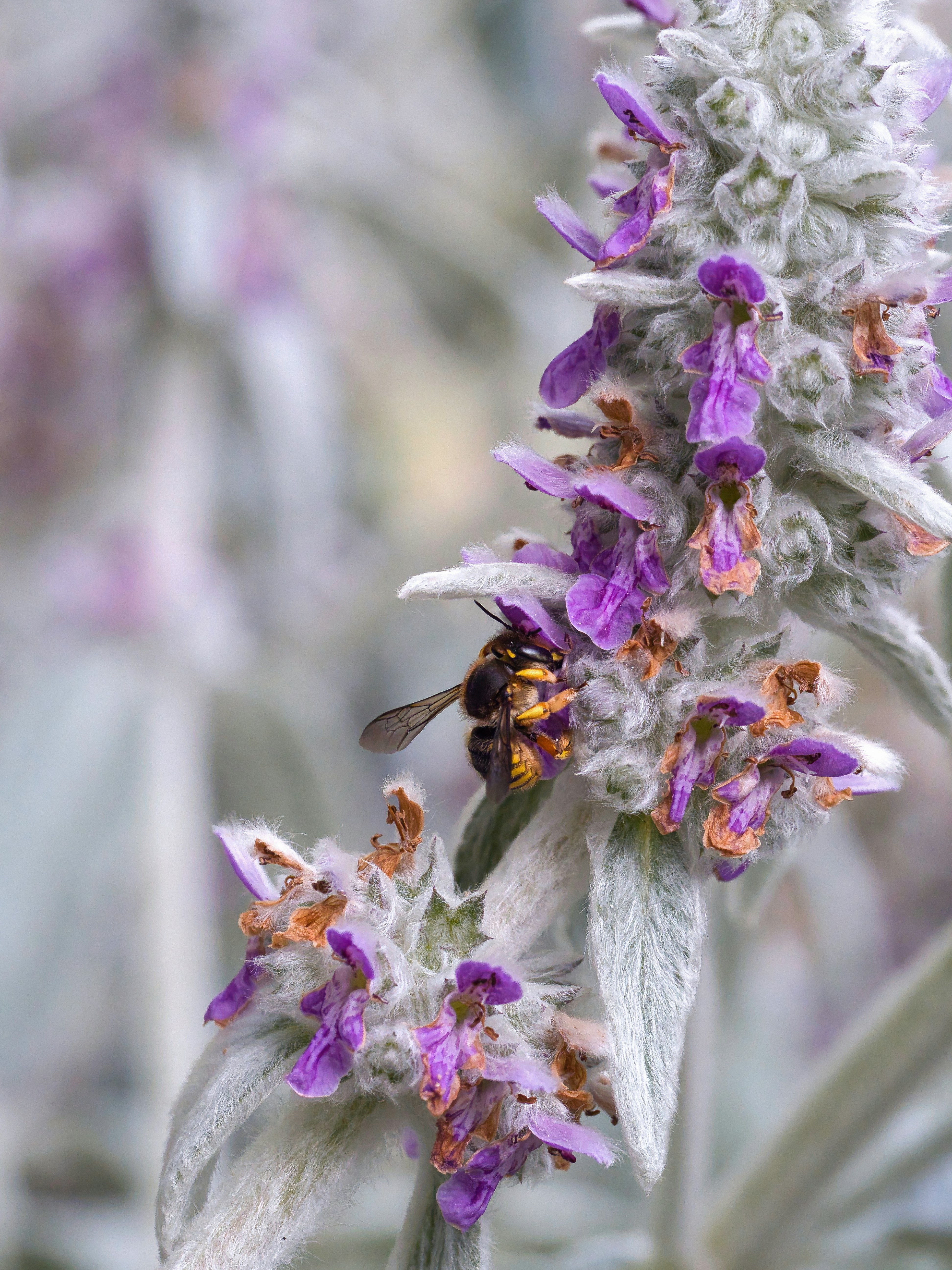 Photo by theskytales