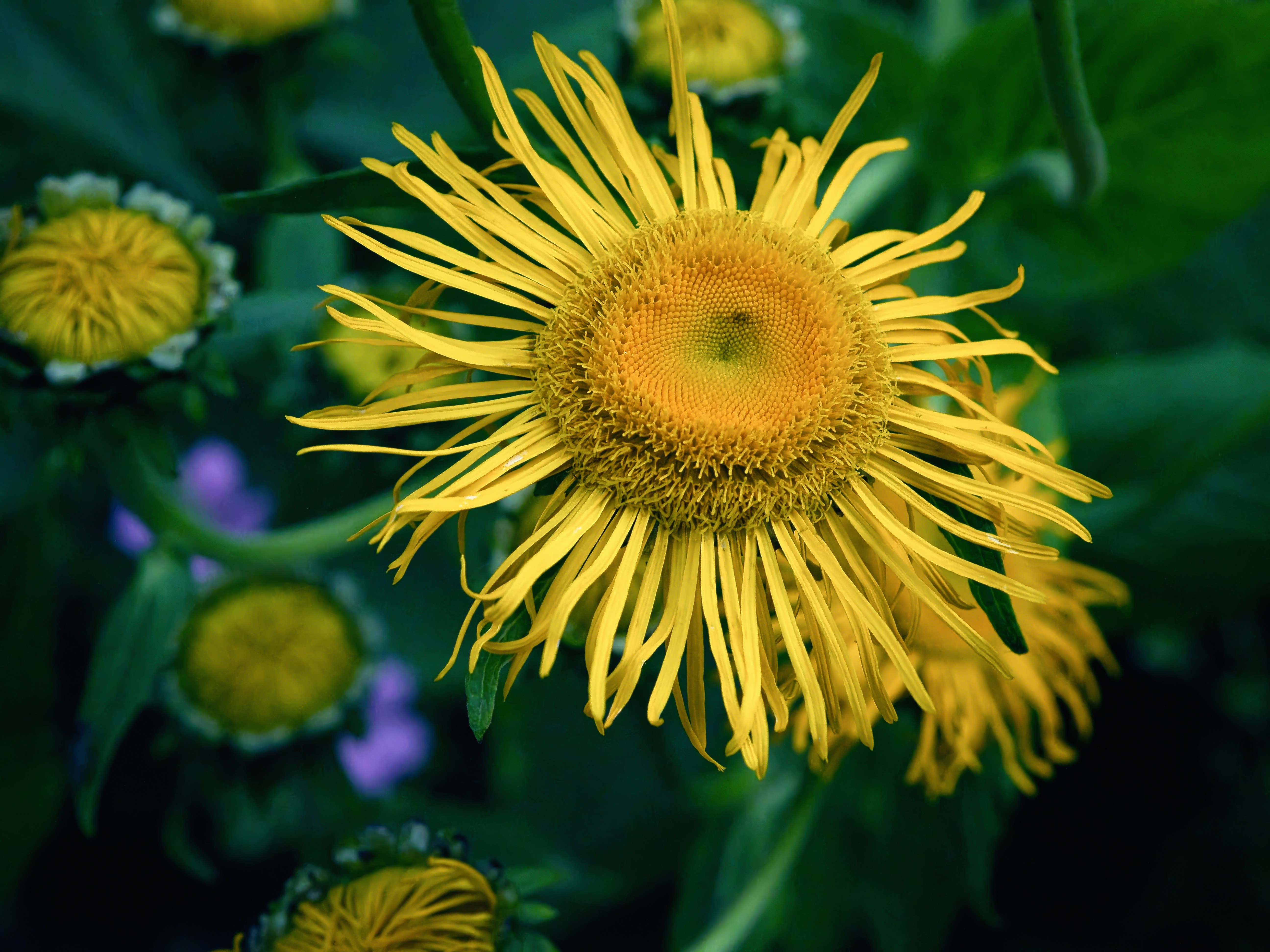 Photo by theskytales