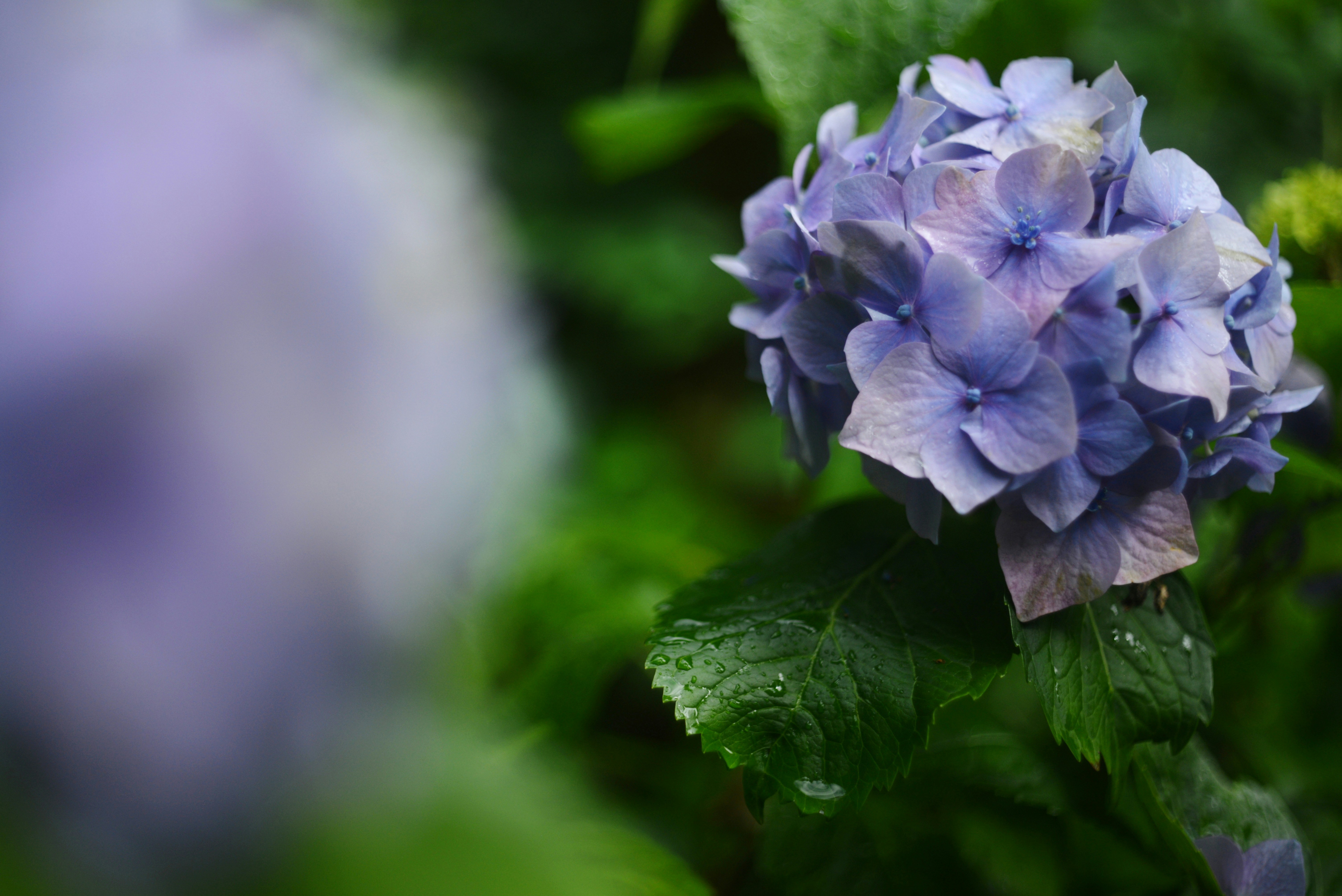 Photo by cherstve_pechivo