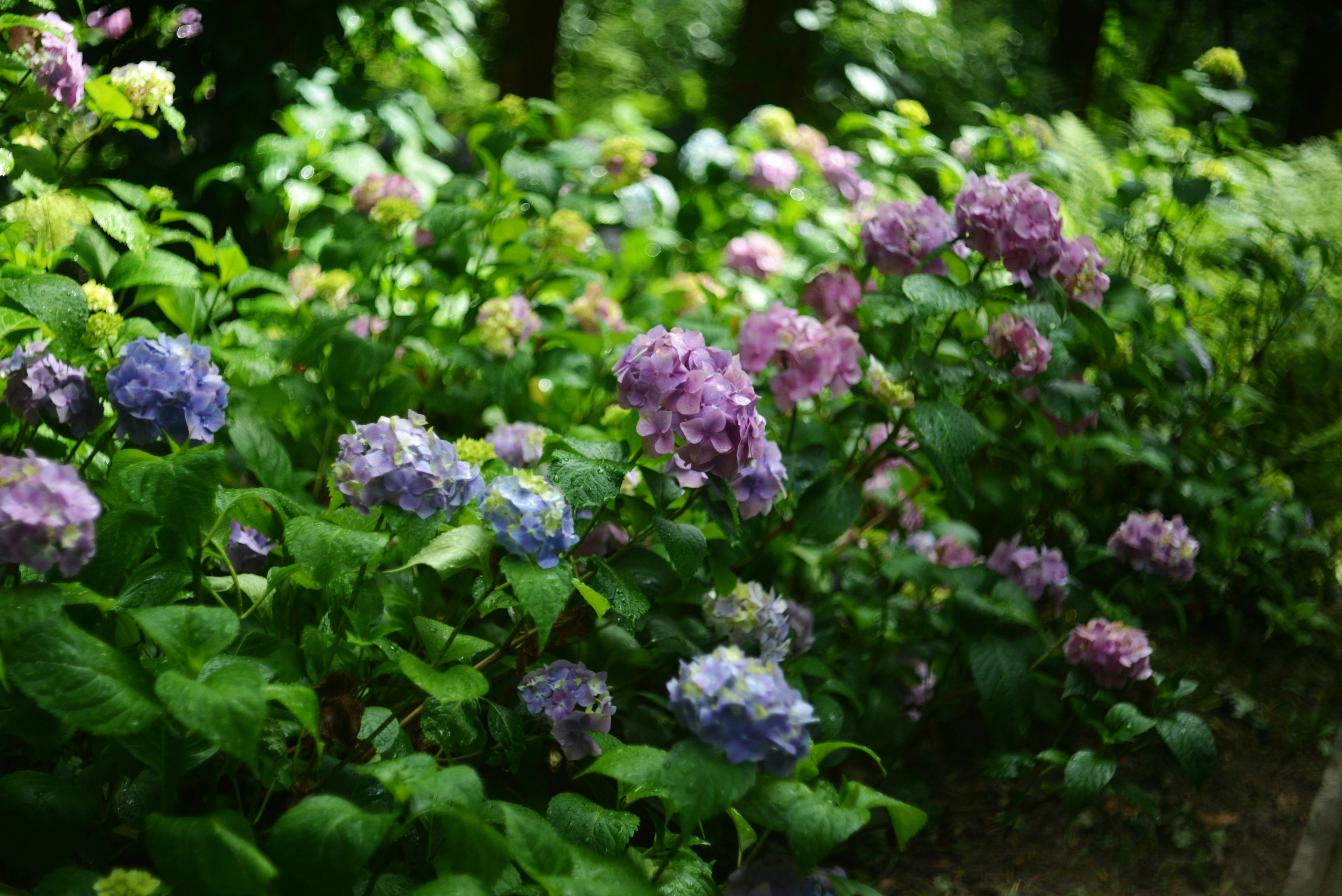 Photo by cherstve_pechivo