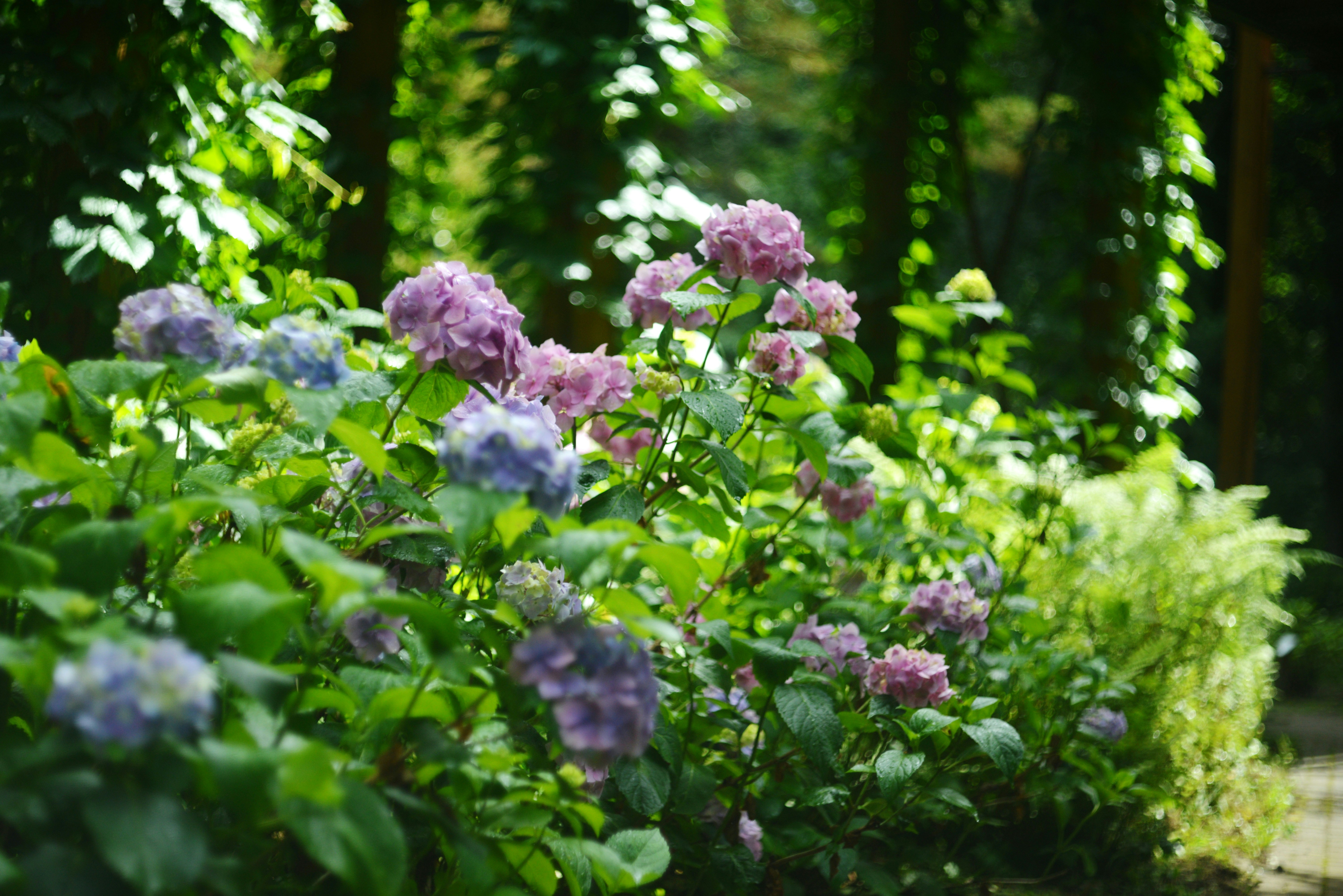 Photo by cherstve_pechivo