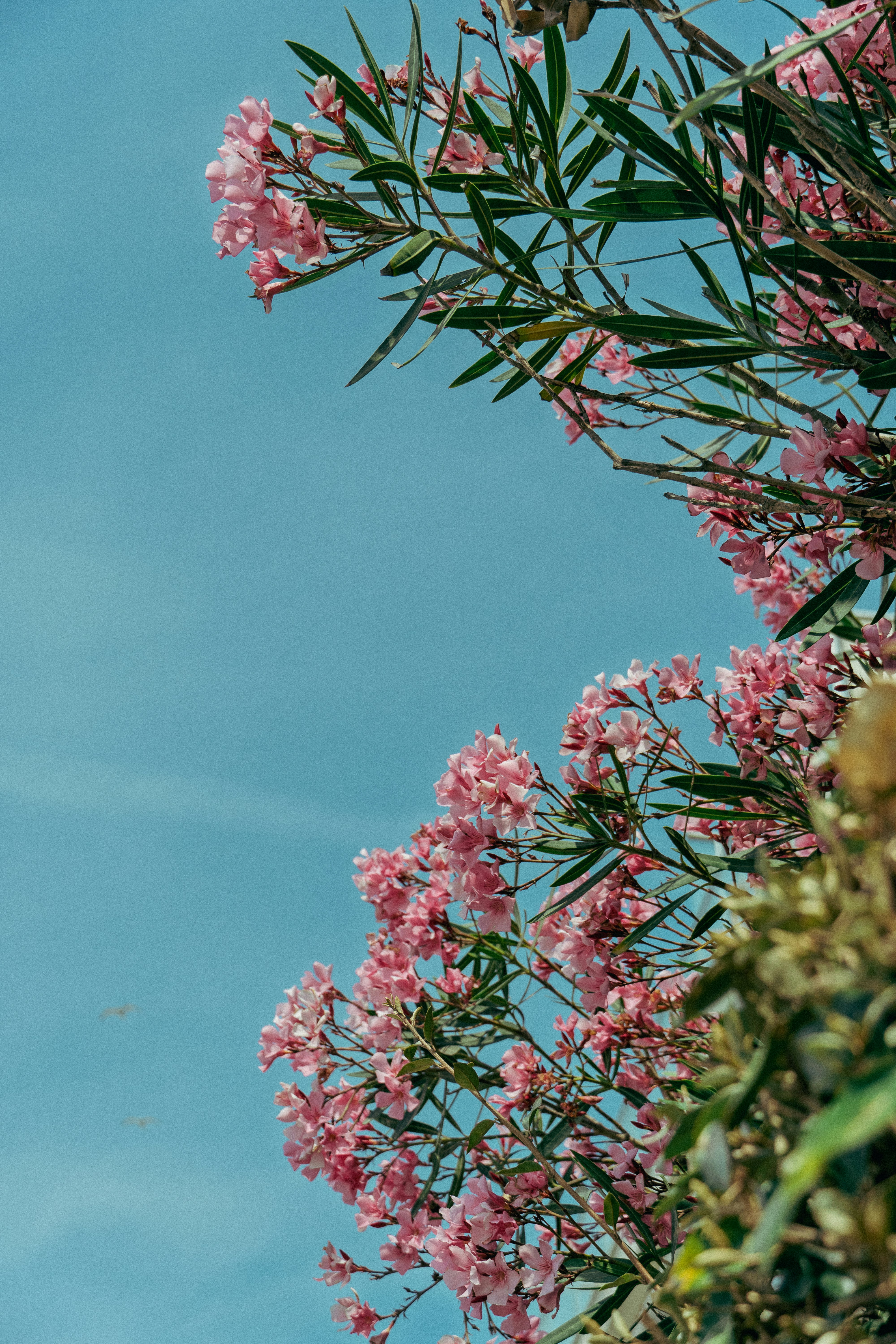 Photo by gustandphotography