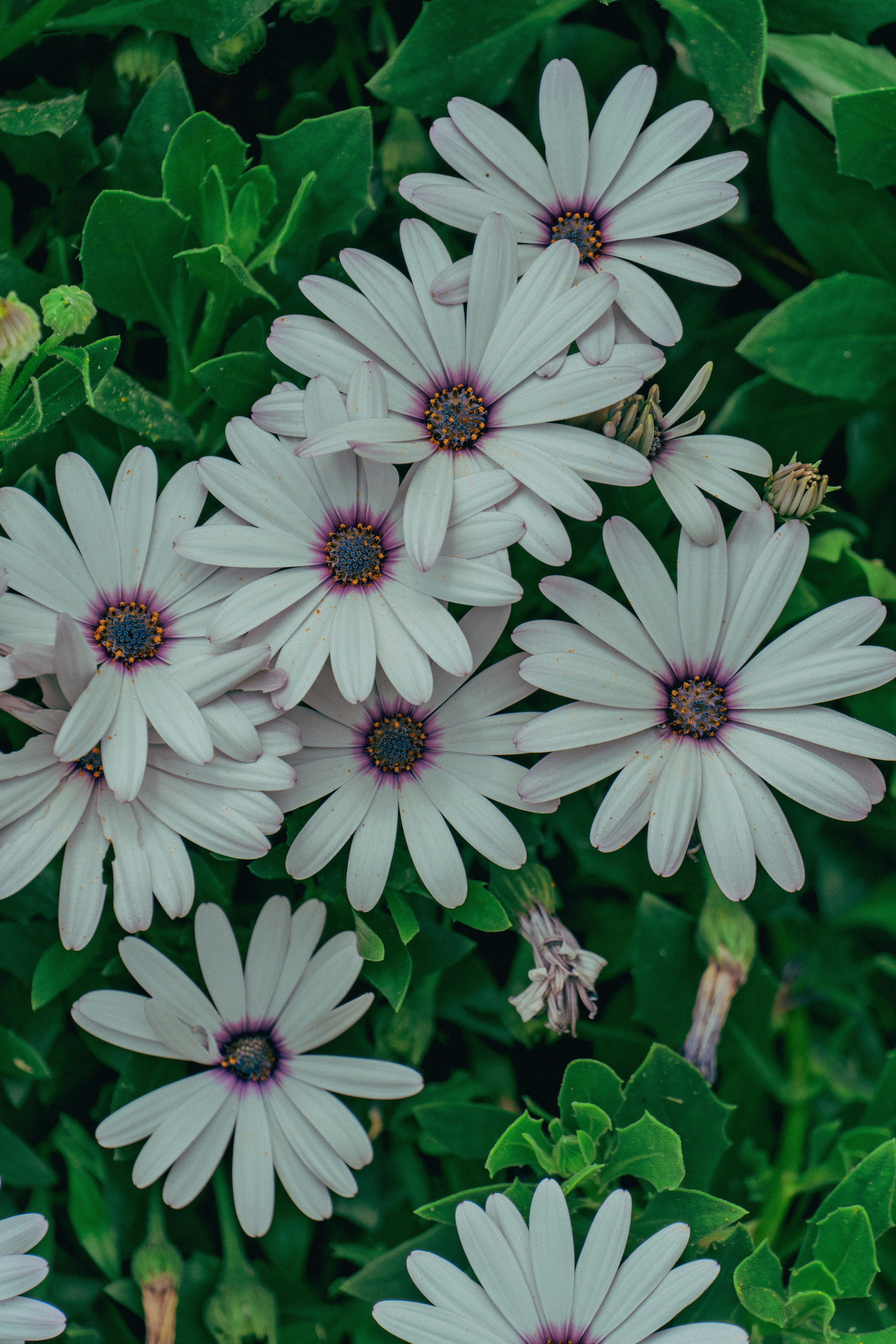 Photo by gustandphotography