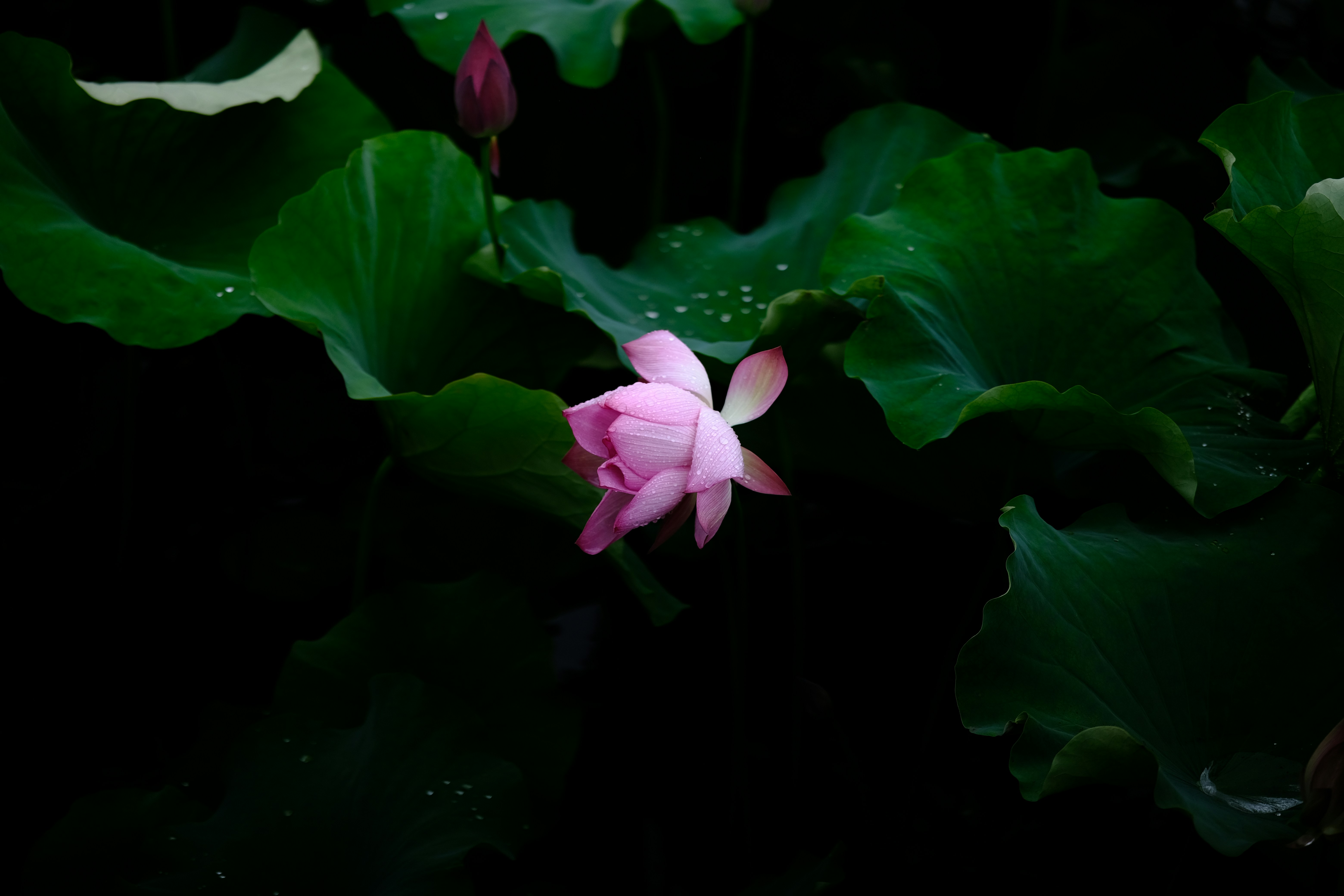 Photo by gregorio_nico