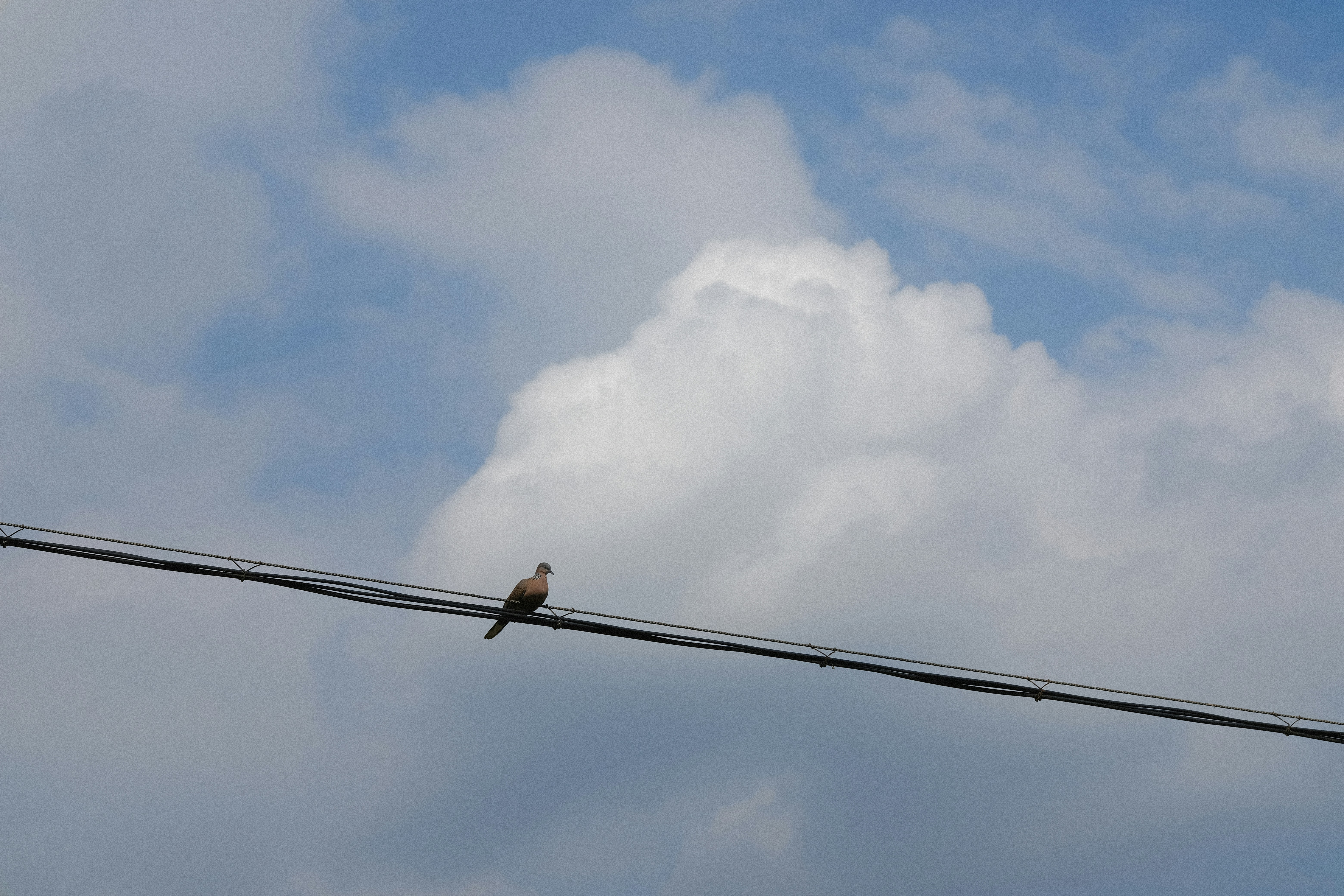 Photo by gregorio_nico