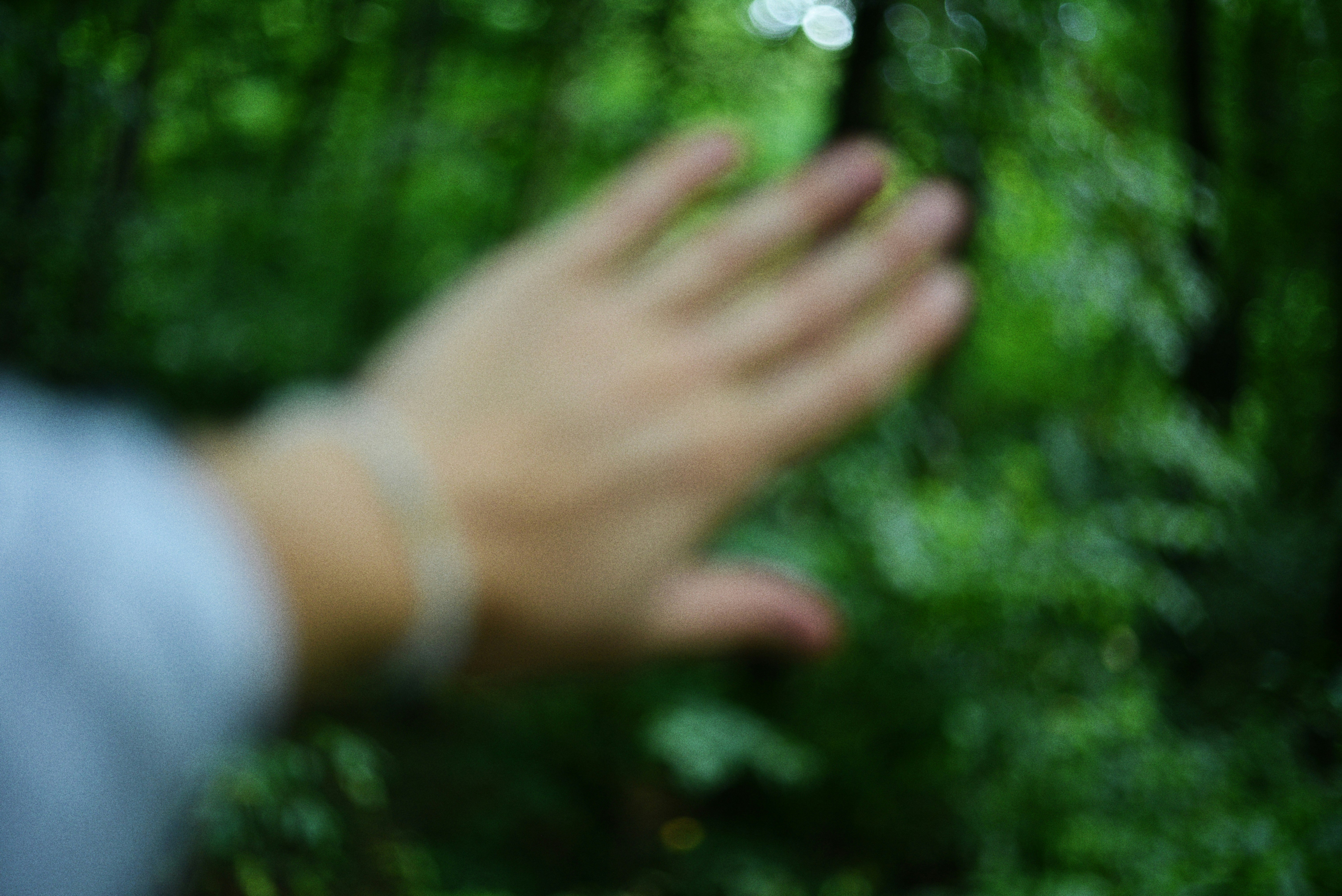 Photo by cherstve_pechivo