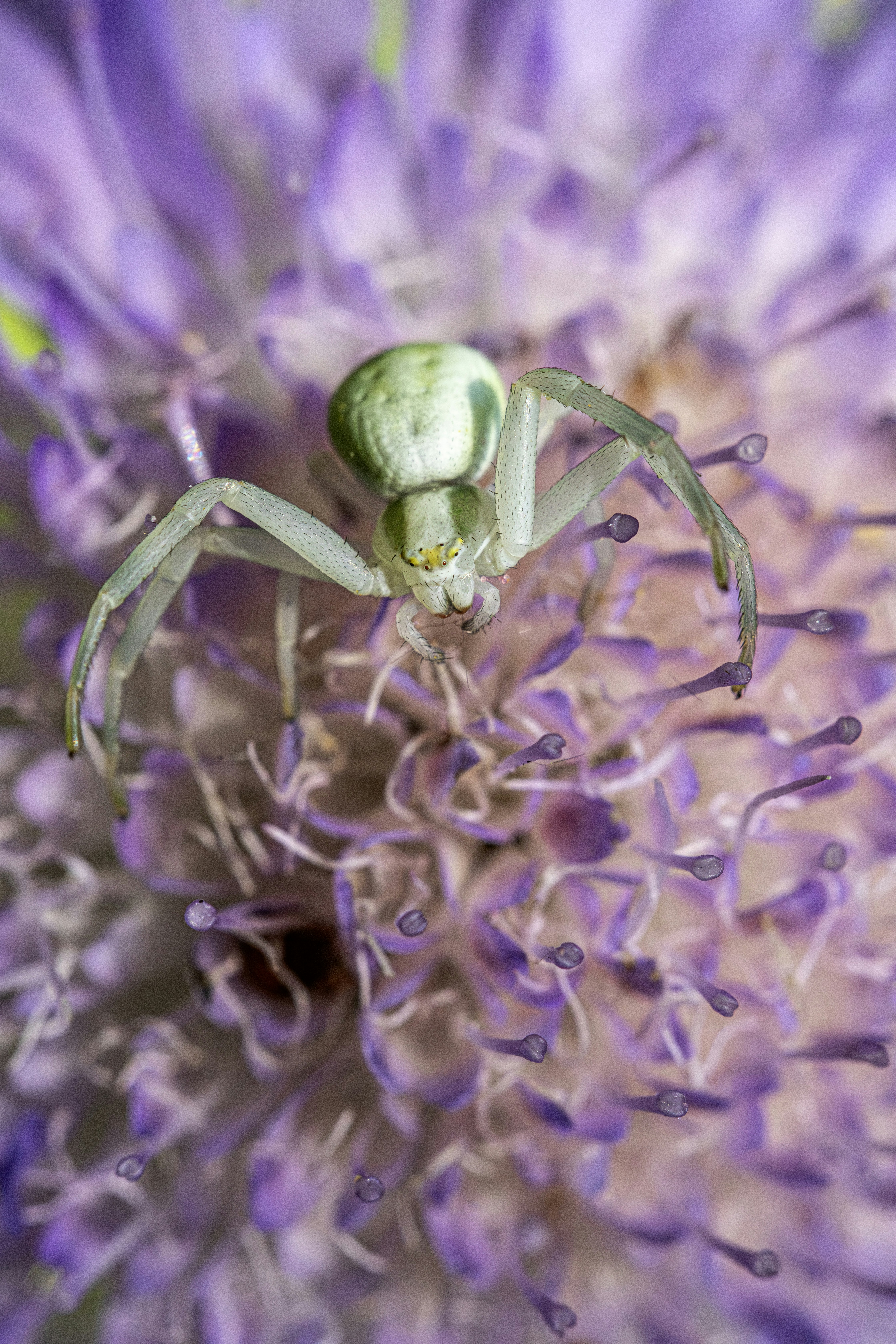 Photo by erik_karits