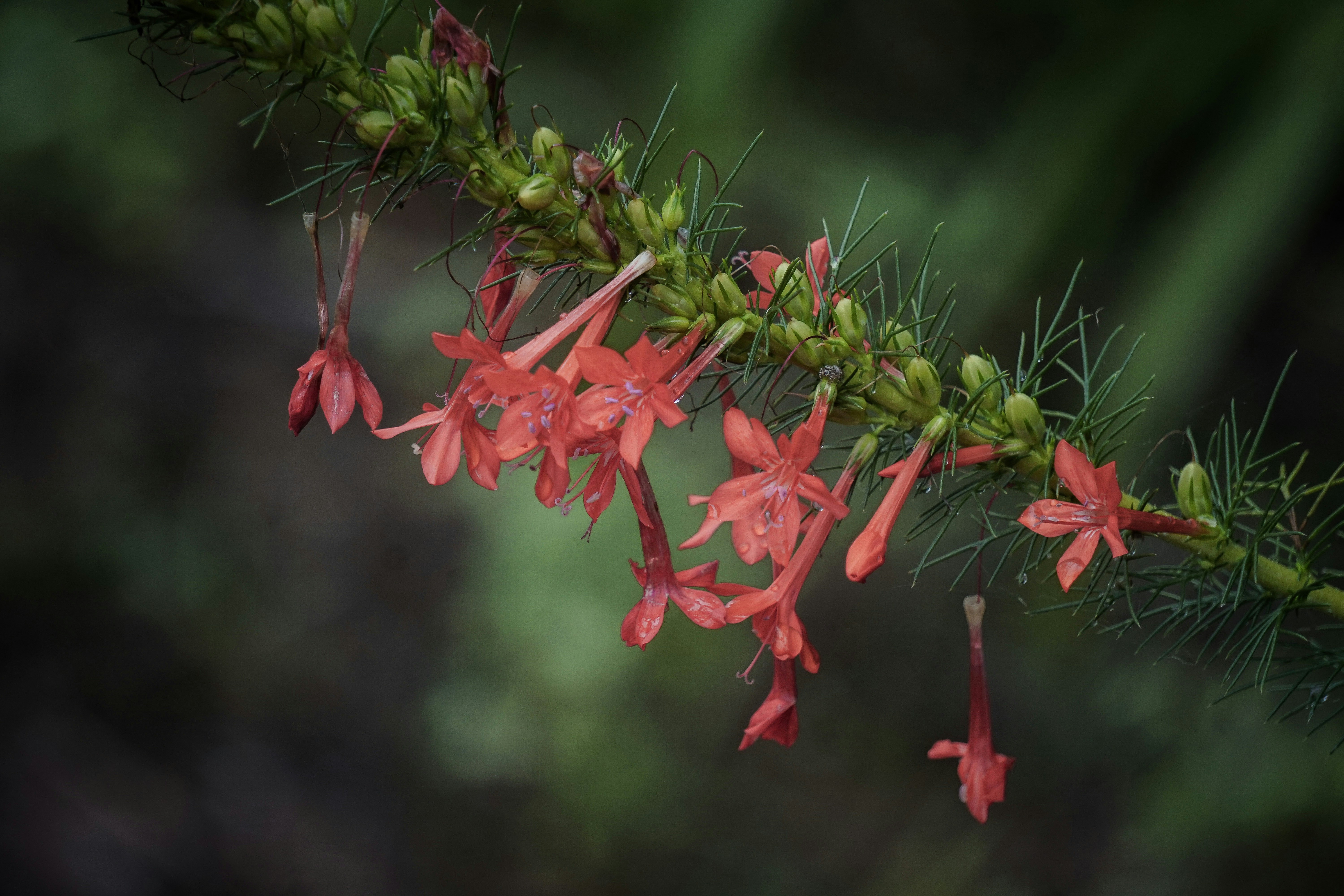 Photo by pmayorphotos