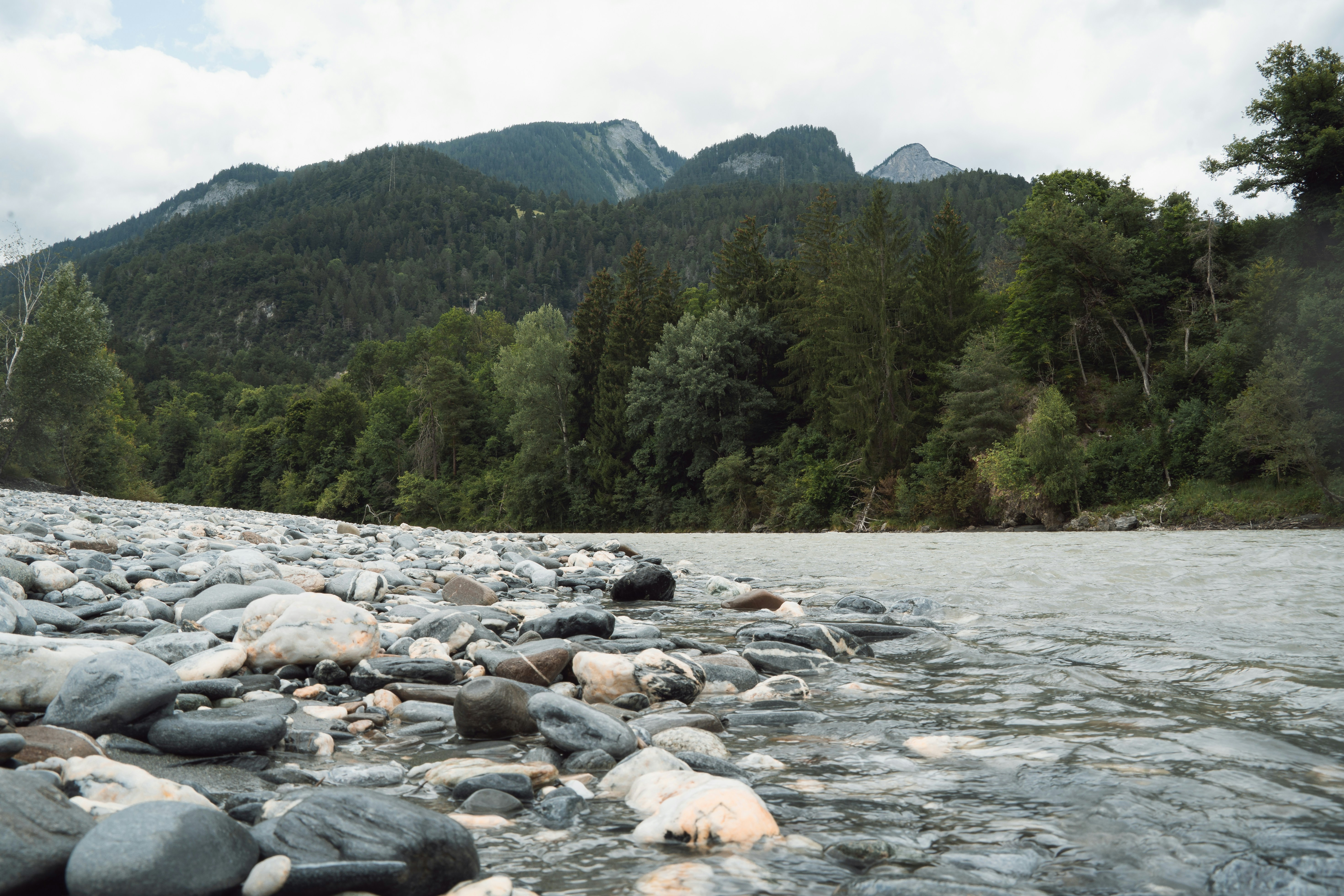 Smooth, multicolored stones line the shore of a flowing alpine river at the confluence of the Hinterrhein and Vorderrhein in Switzerland. Towering evergreens and rugged mountain peaks rise in the background, creating a peaceful, untouched riverside scene.