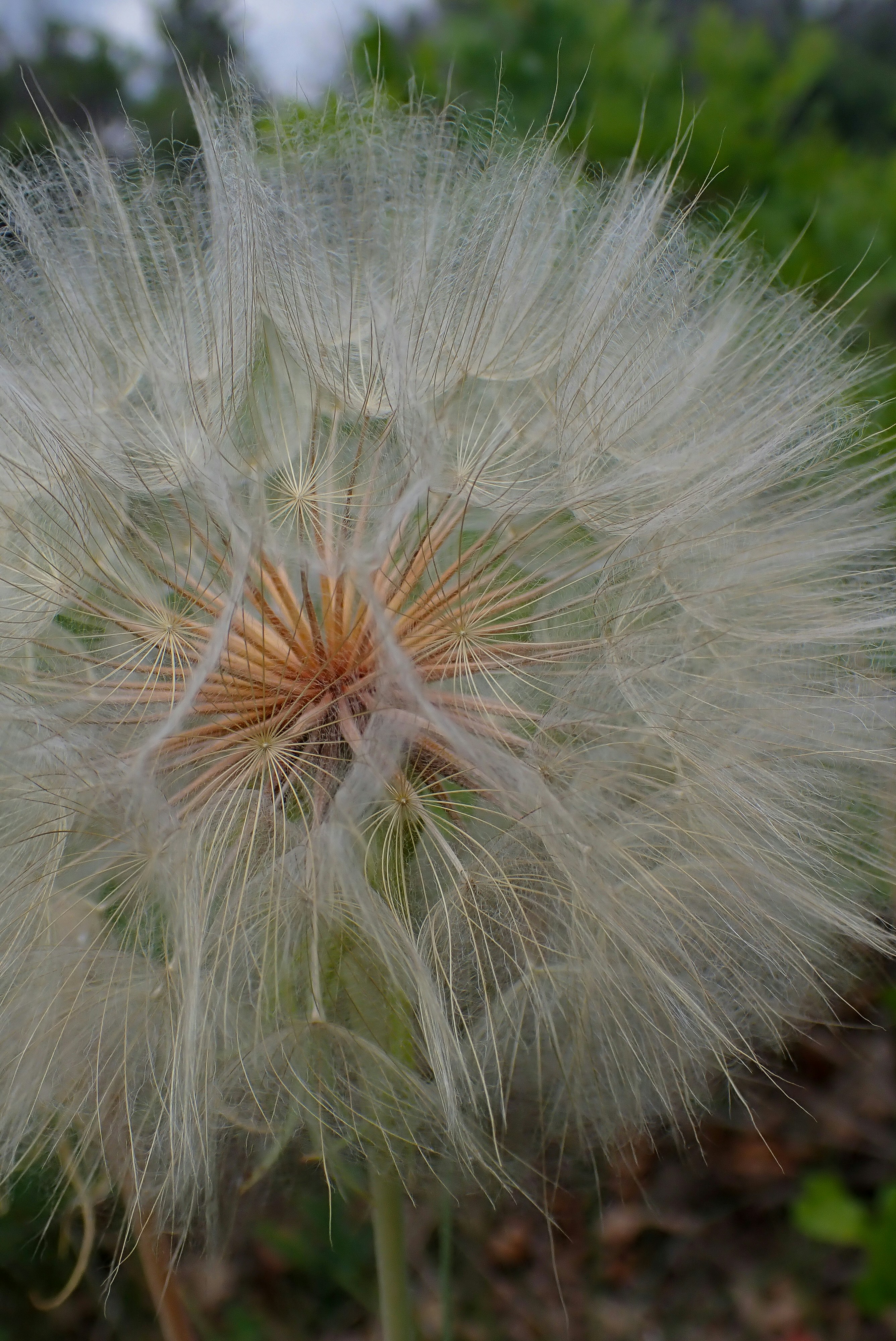 Photo by attaliehart