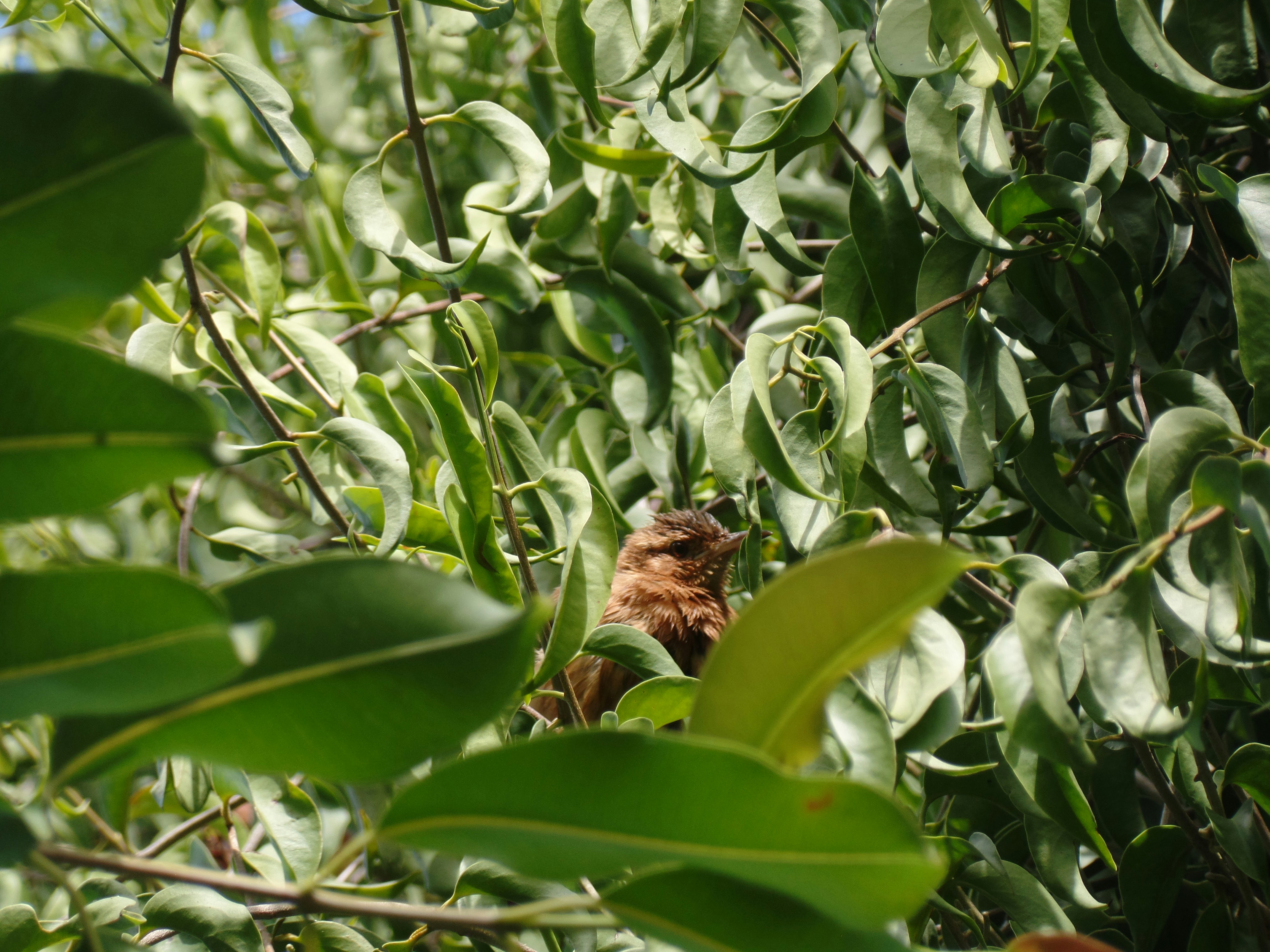 Photo by erick_martins