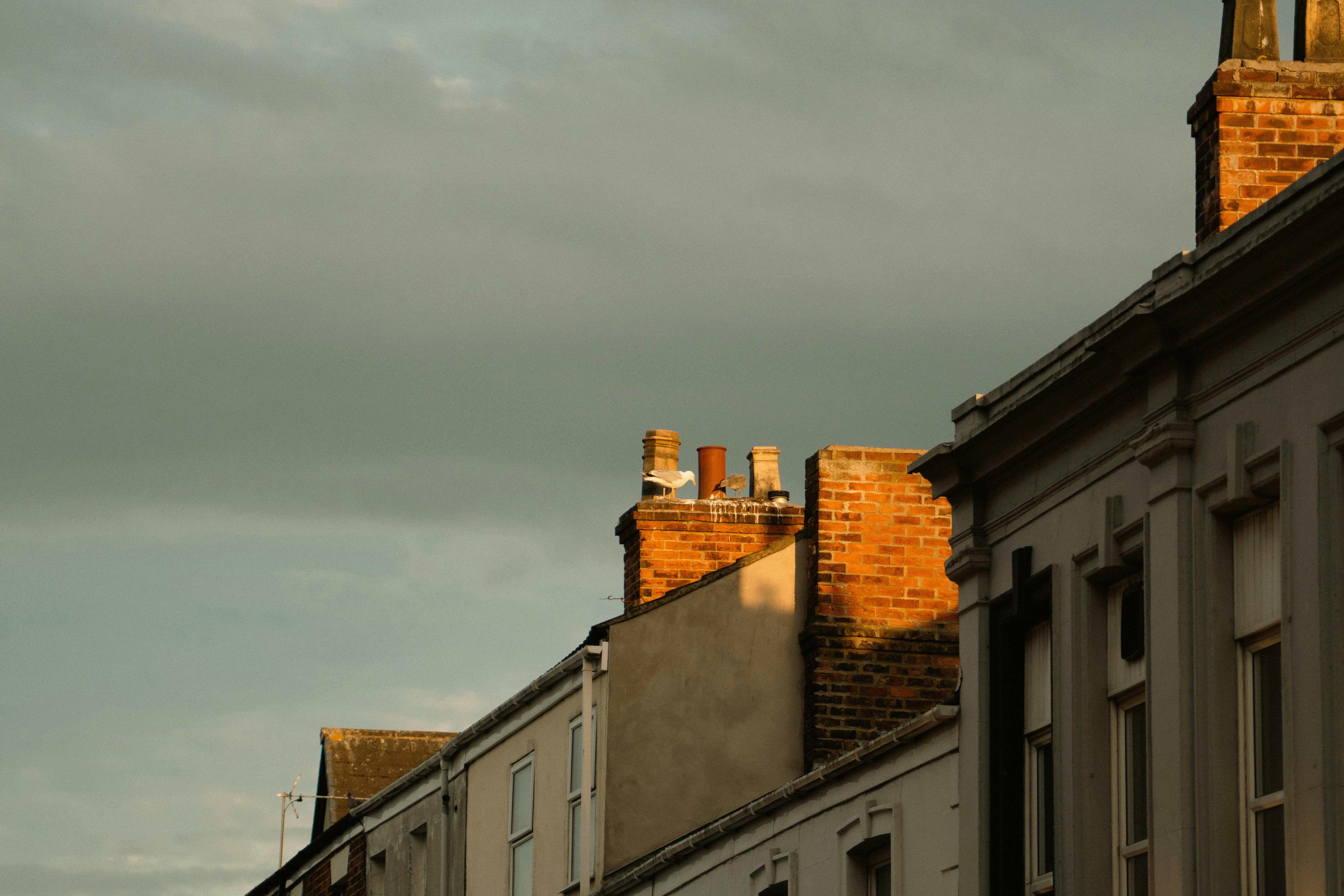 Photo by pixel_guy97