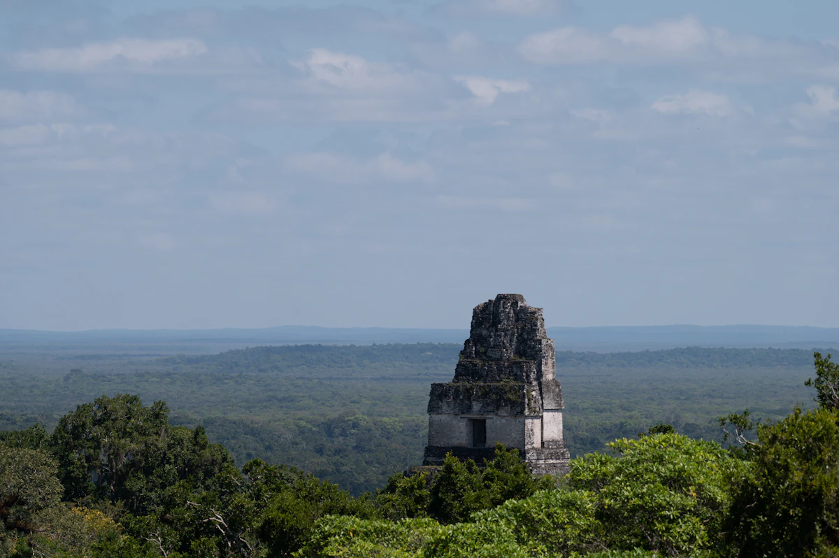 Templo maya de Tikal sobresaliendo de la selva del Petén, Guatemala