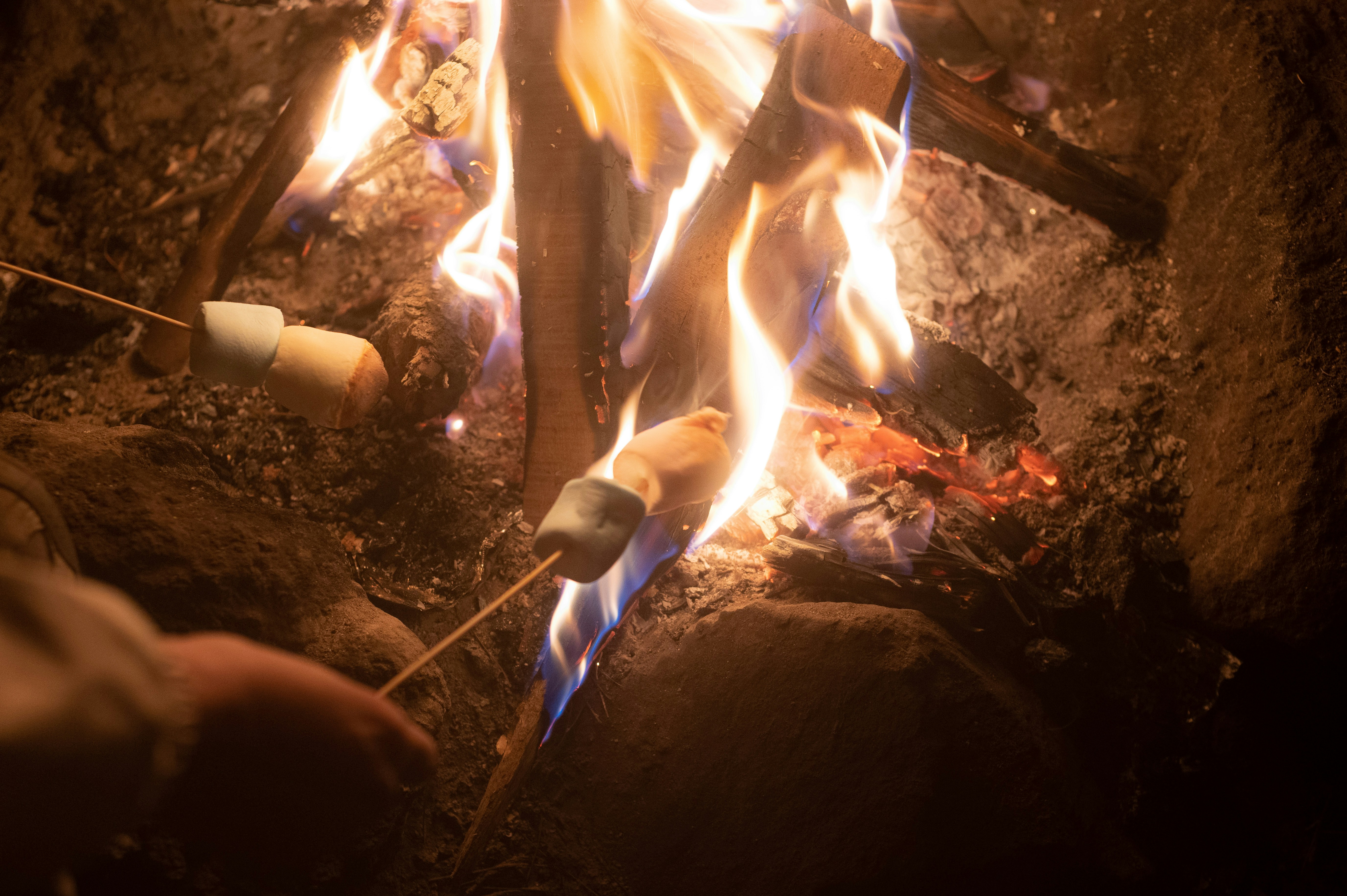 Marshmallows roasting over an open campfire.