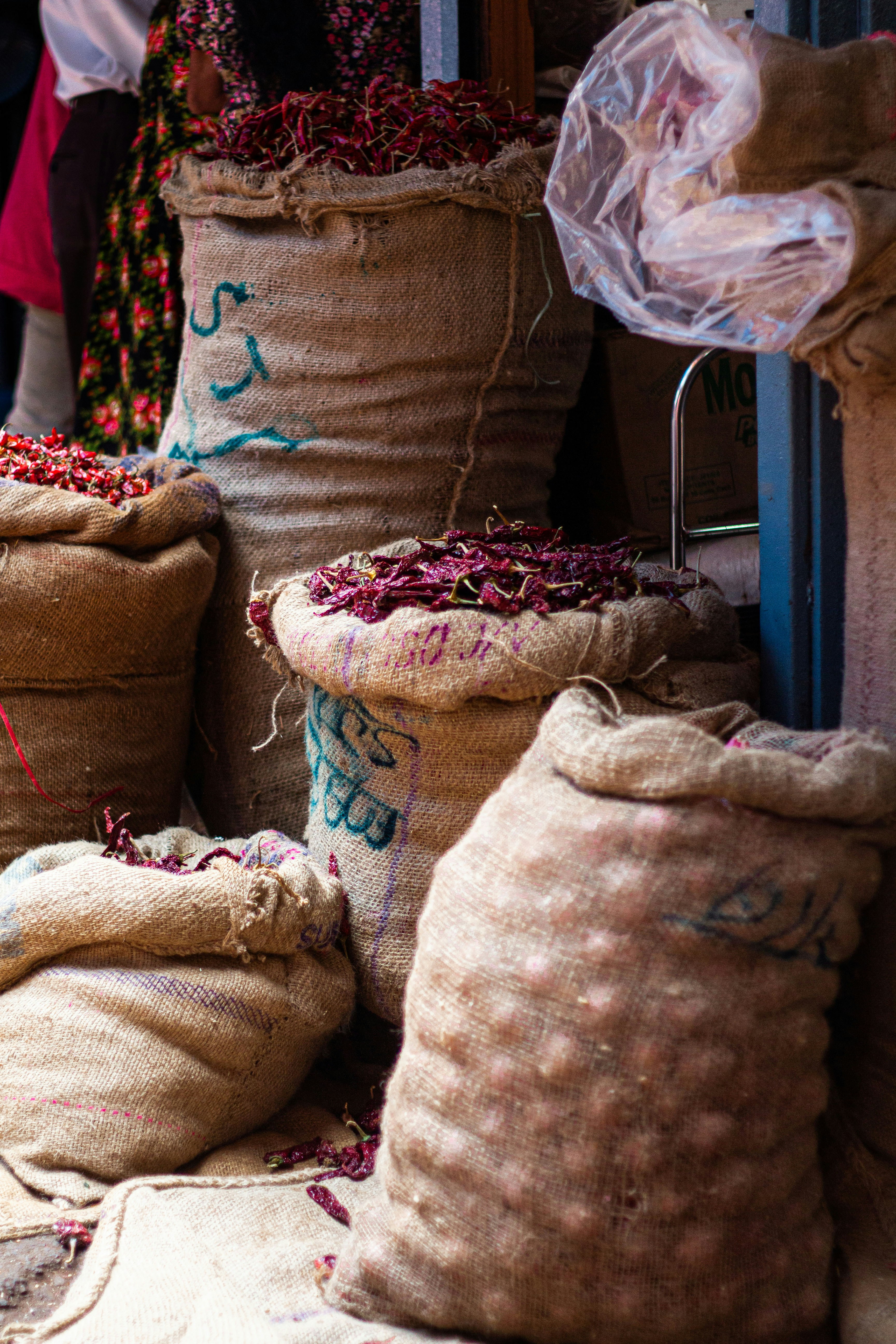 Photo by tamwithacam_14