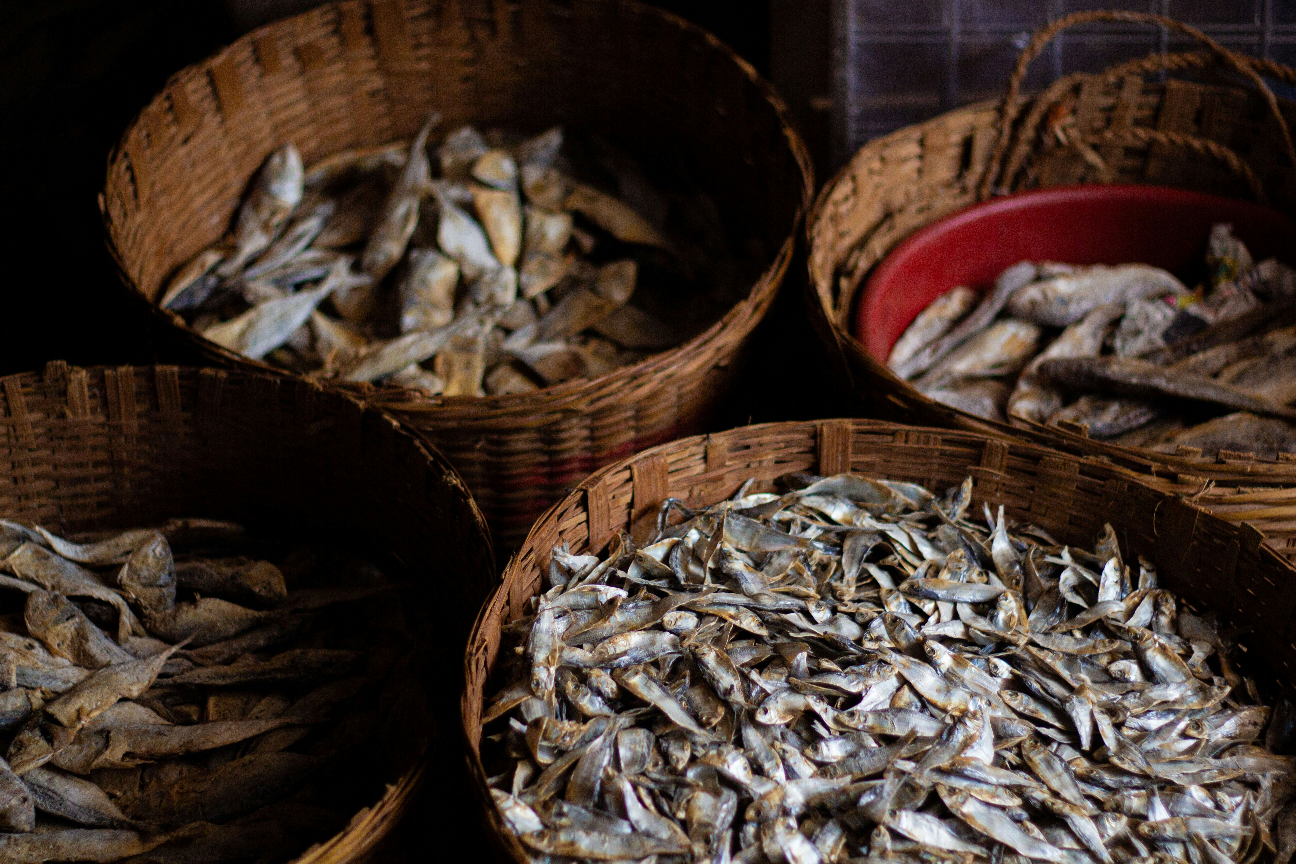 Photo by tamwithacam_14