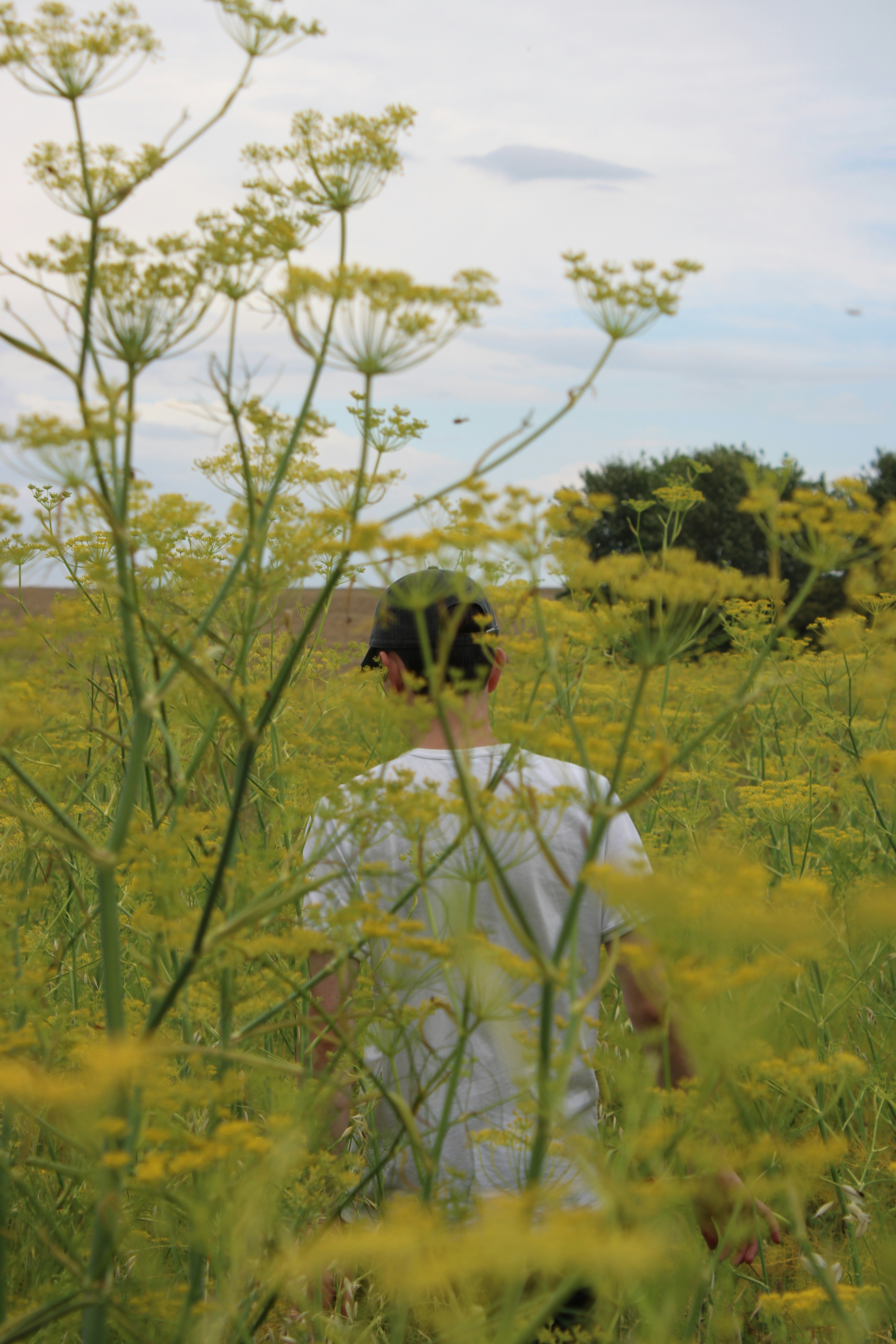 Photo by bog123