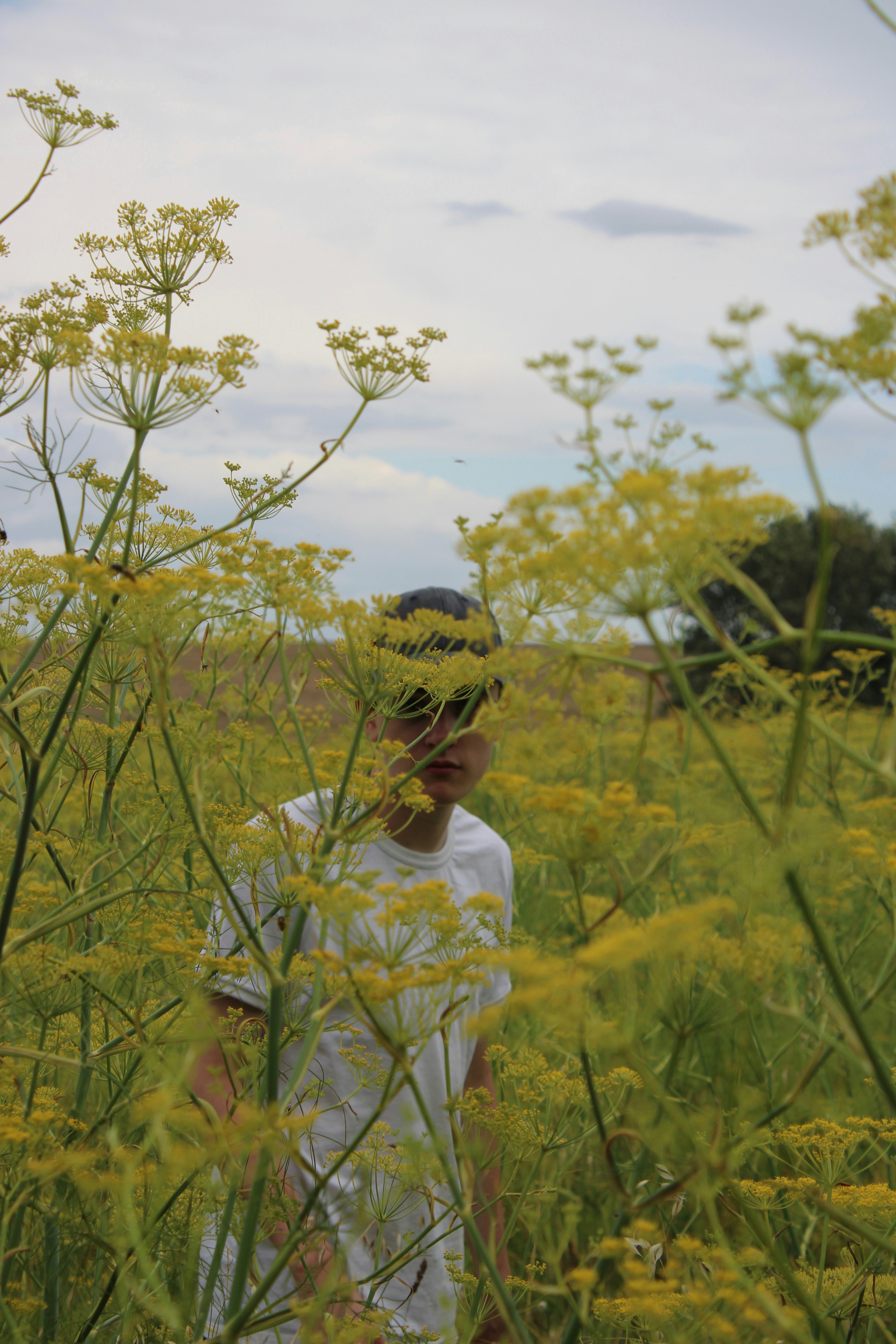 Photo by bog123