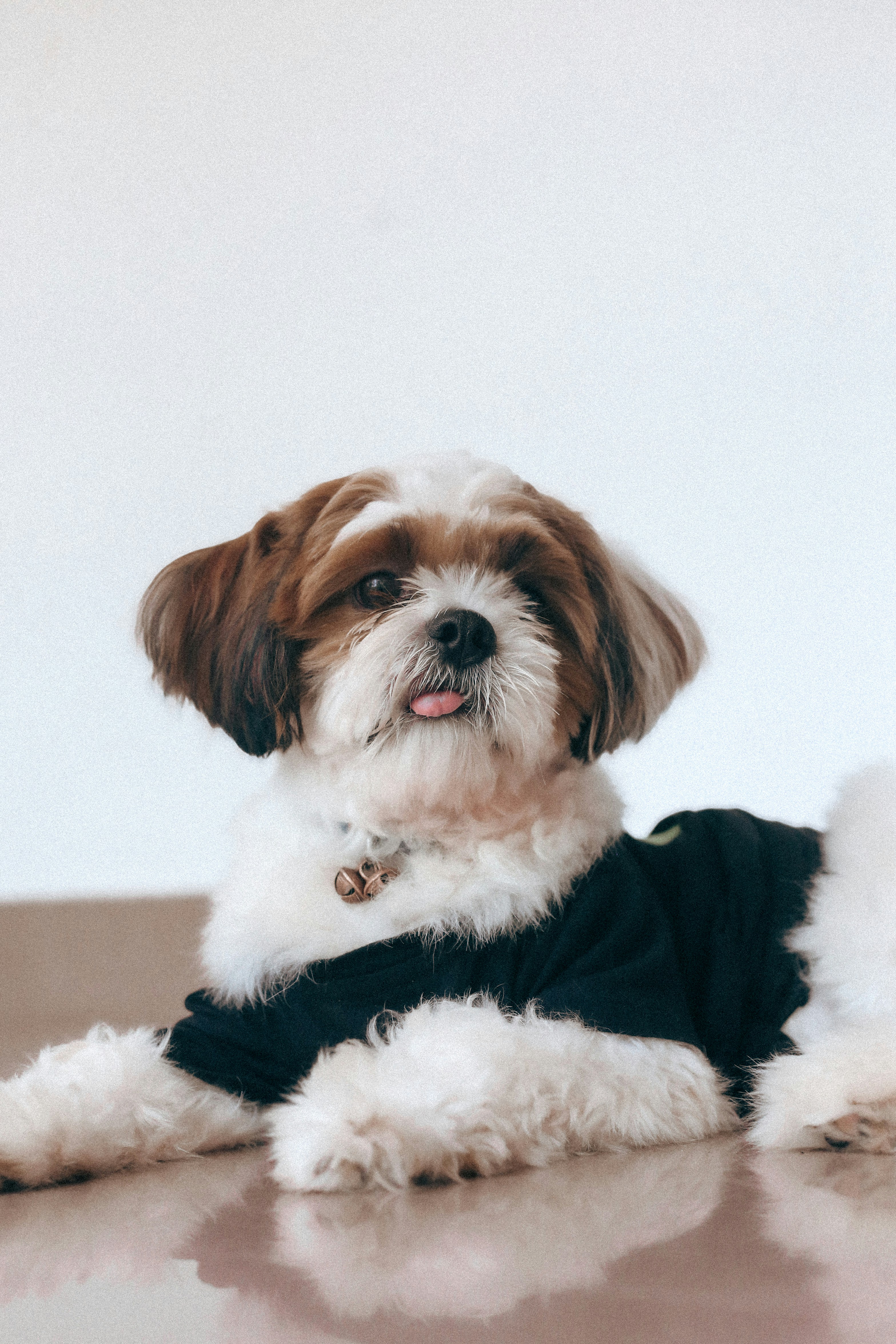 Photo by arununnikrishnan