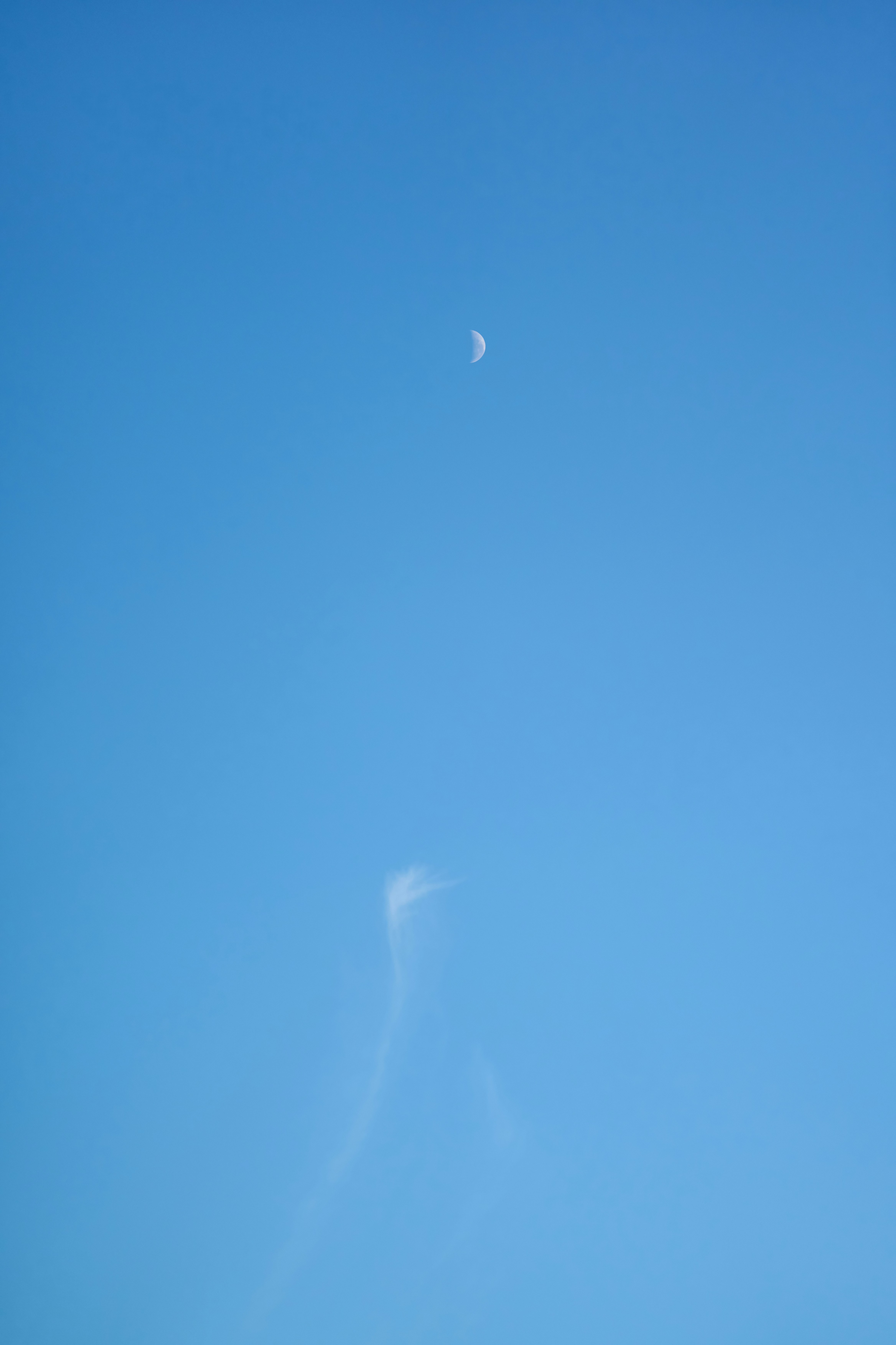 Photo by countingframez