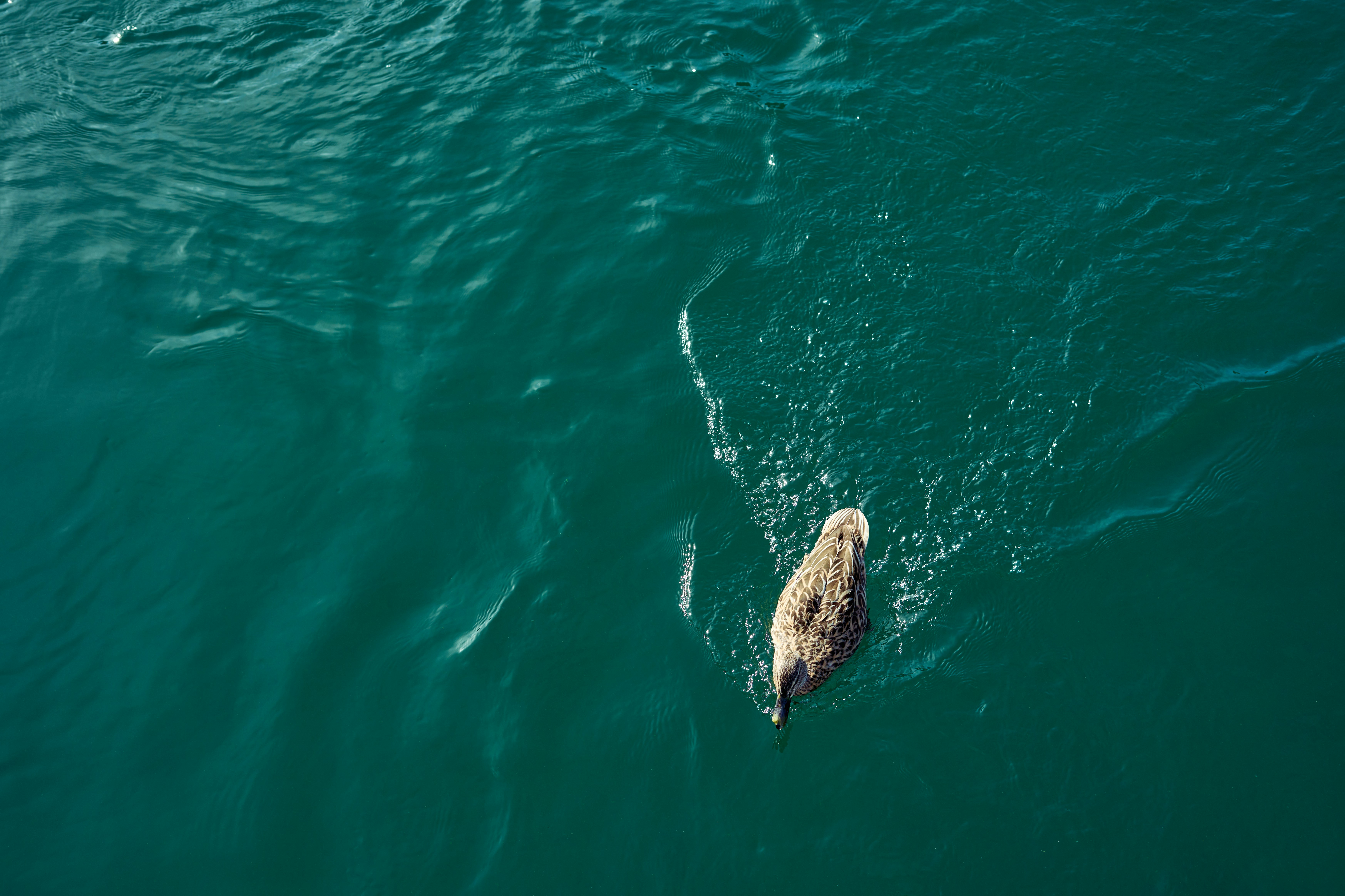 Photo by countingframez