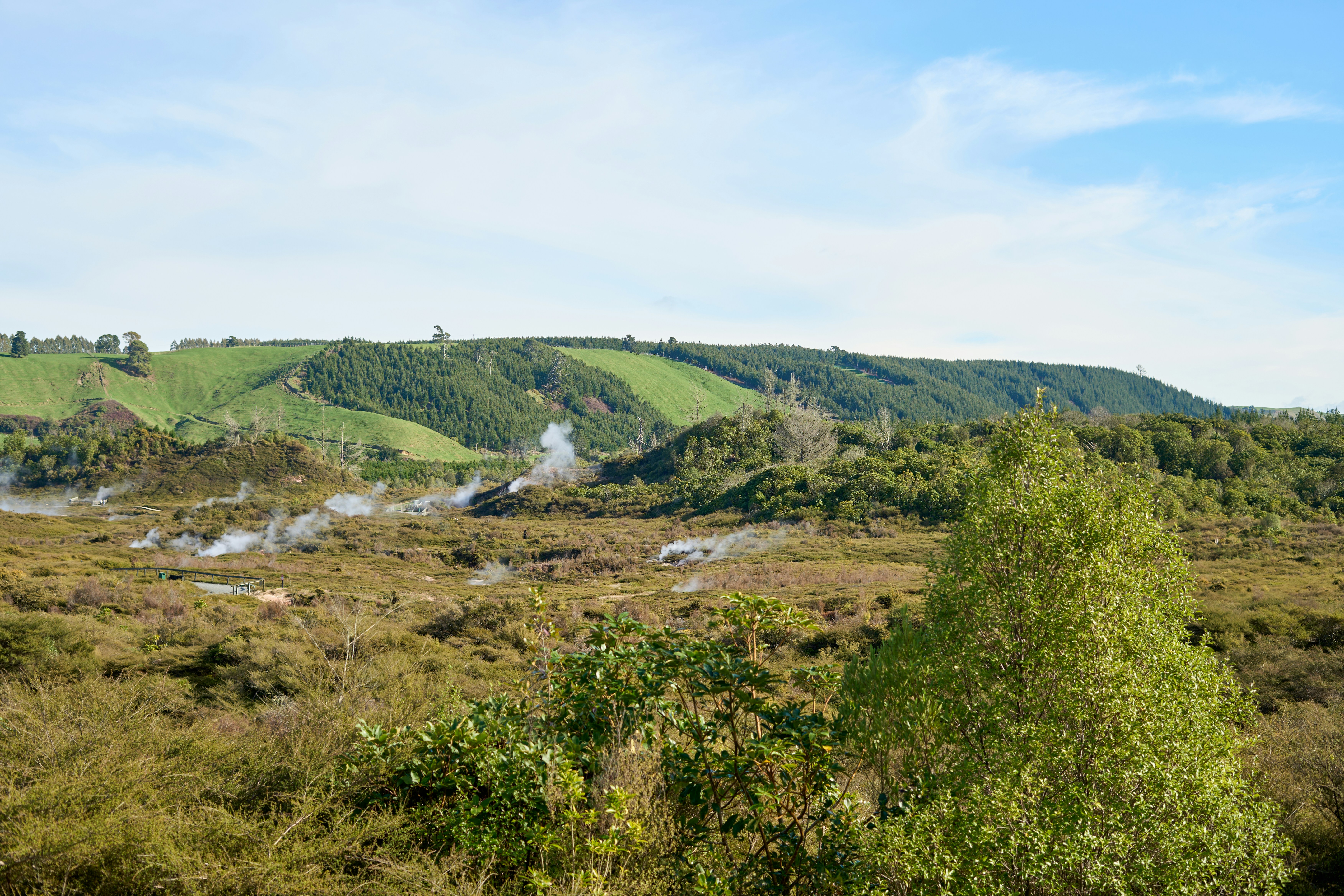 Photo by countingframez