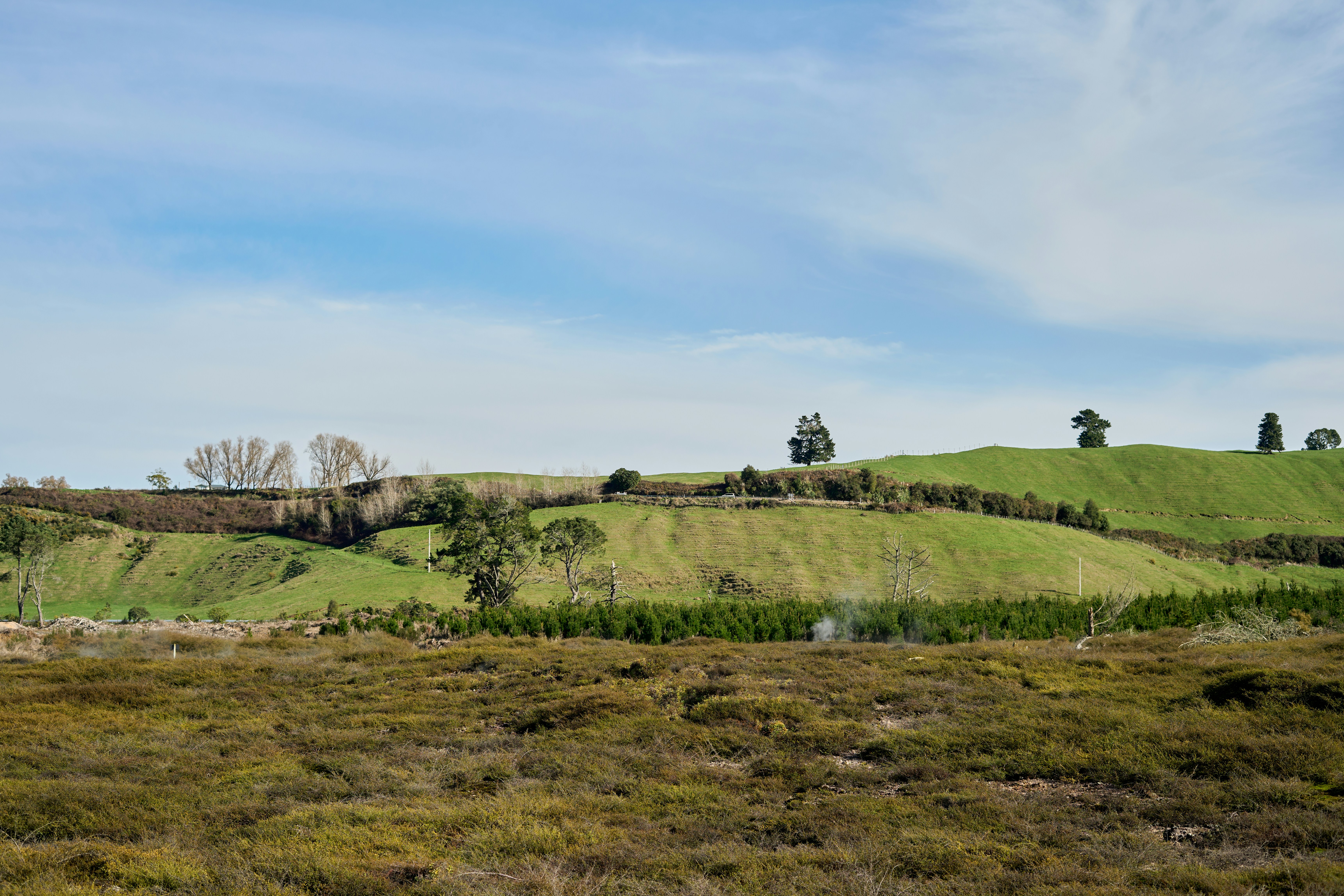 Photo by countingframez