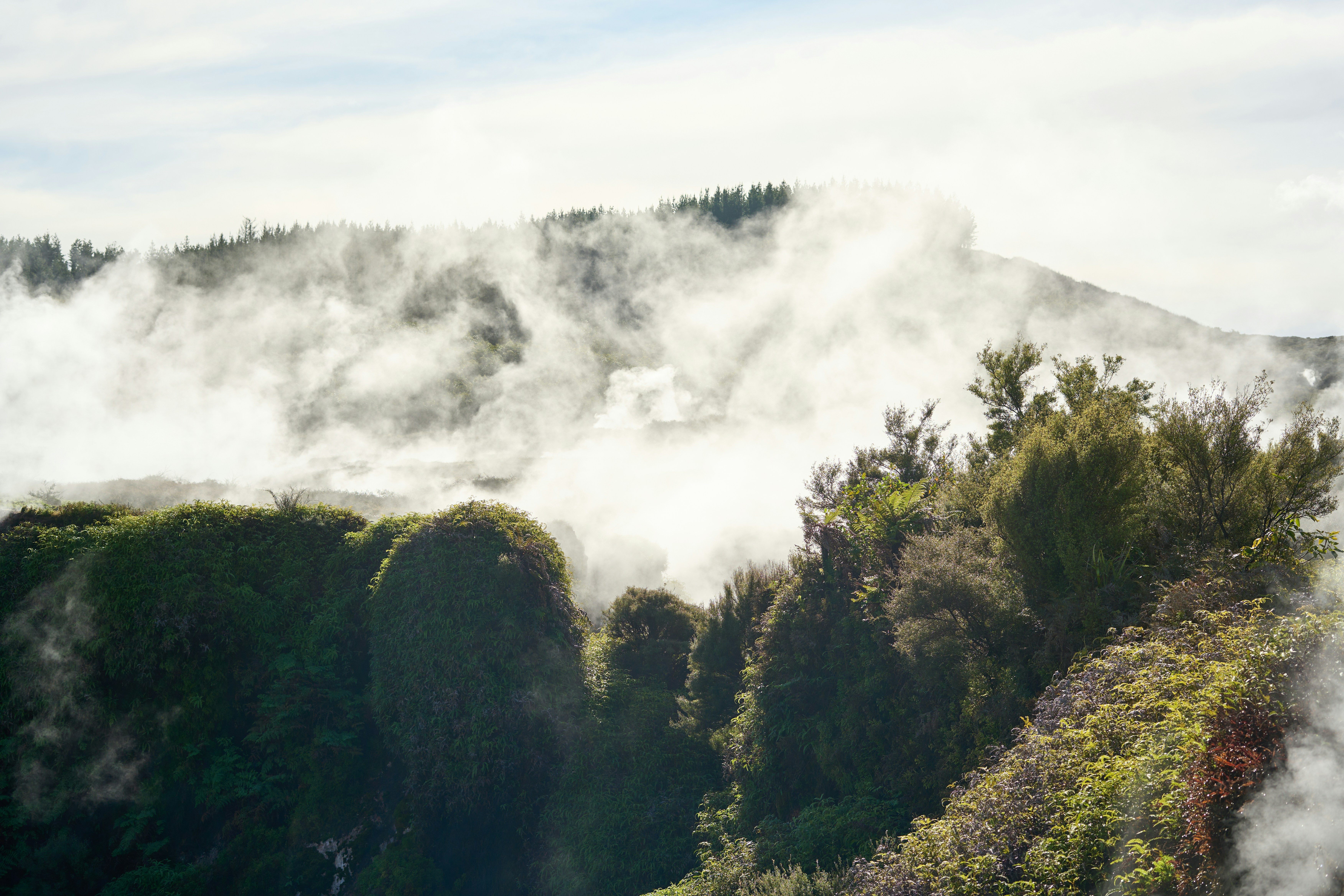 Photo by countingframez