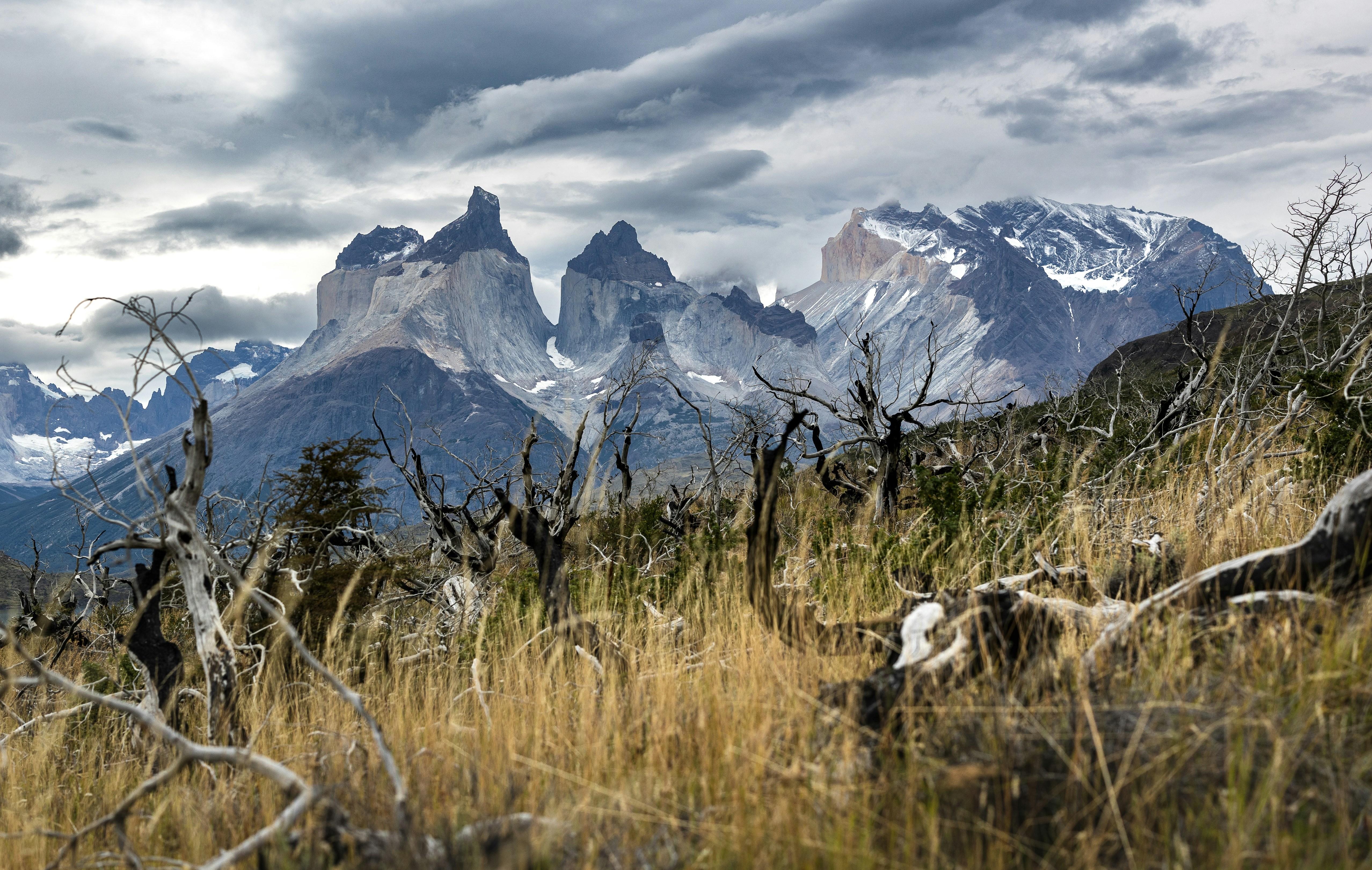 Photo by marekpiwnicki