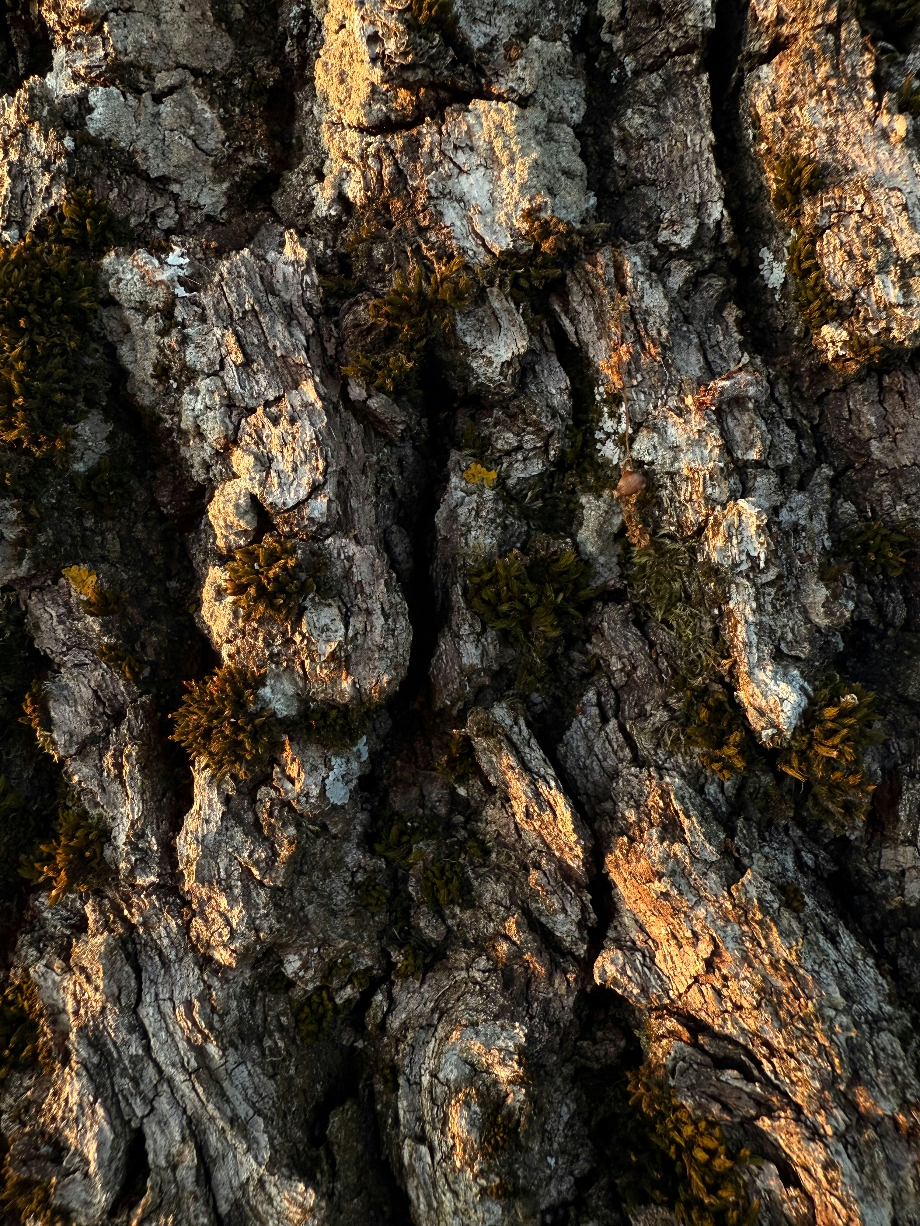 Photo by raymatthewx