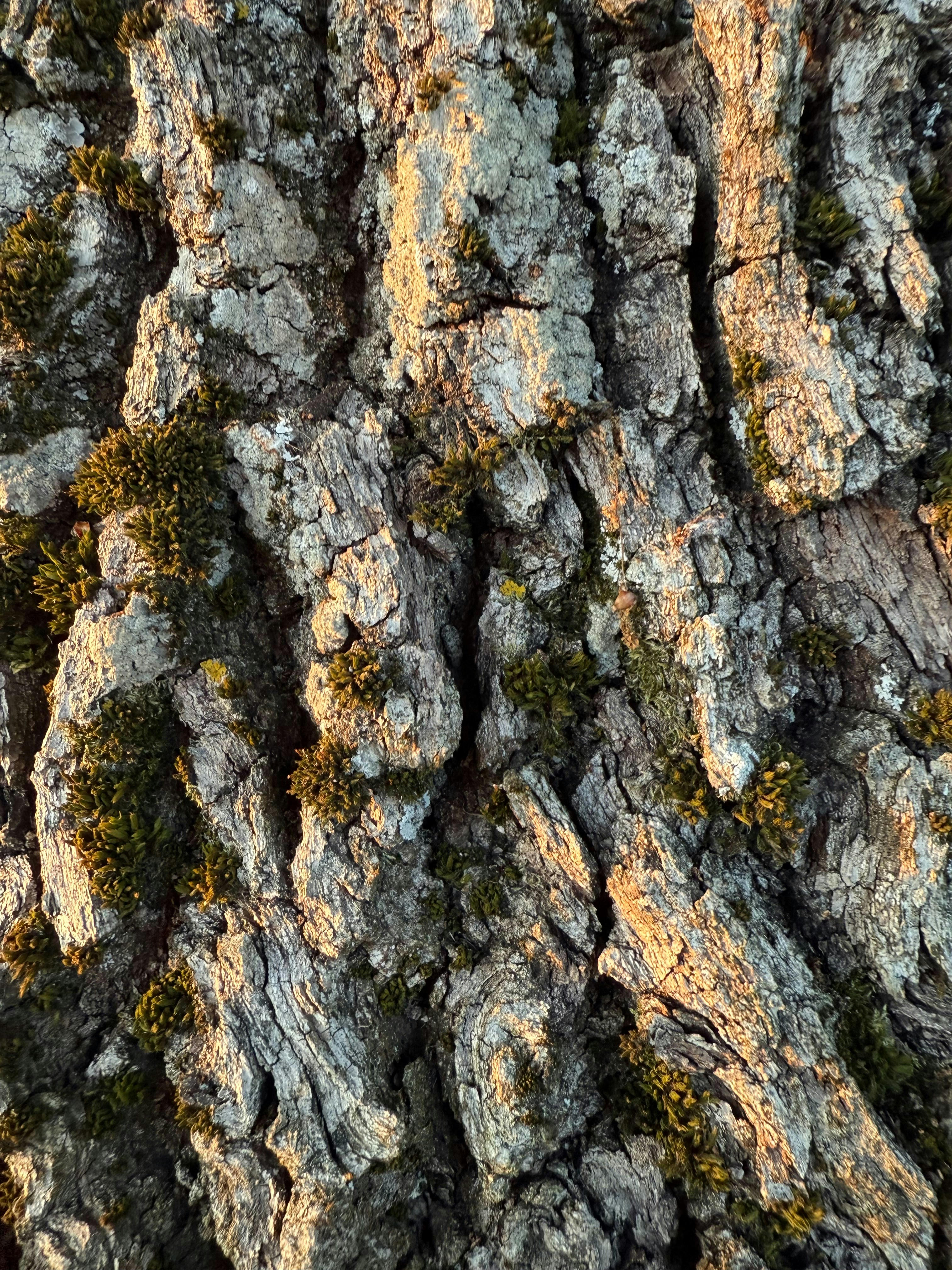 Photo by raymatthewx