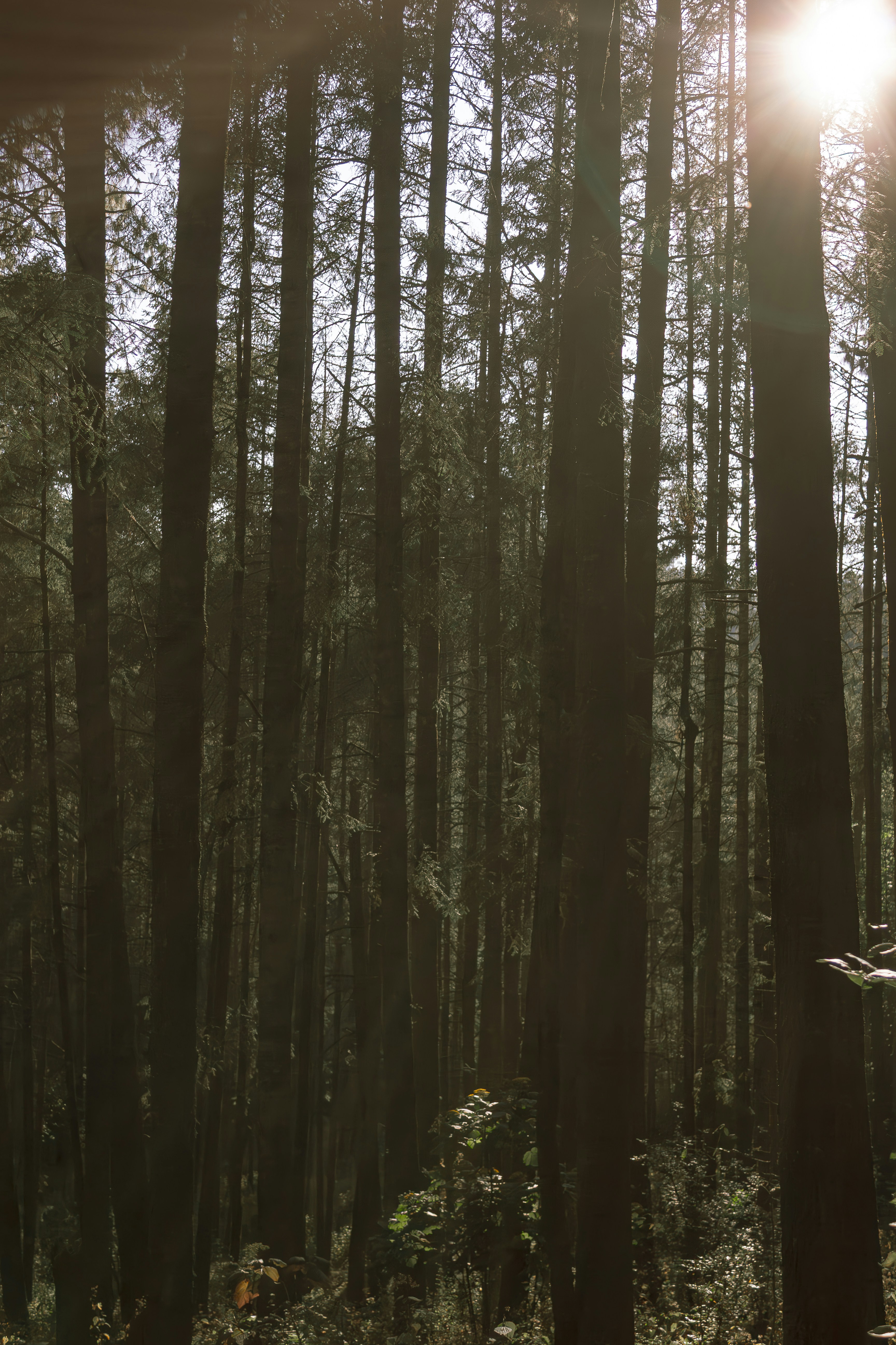 Photo by kristen_plastique